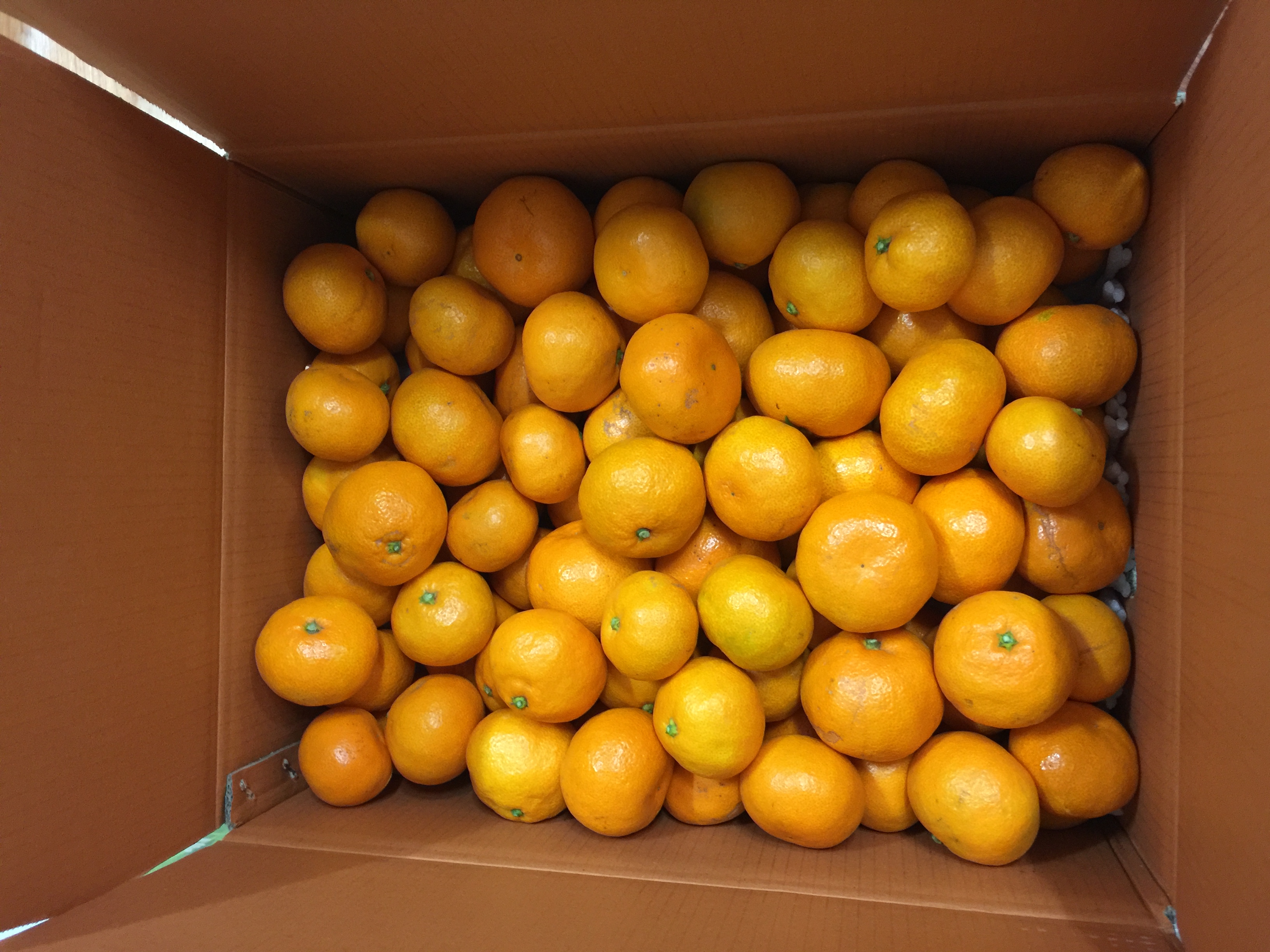 포토 후기 이미지