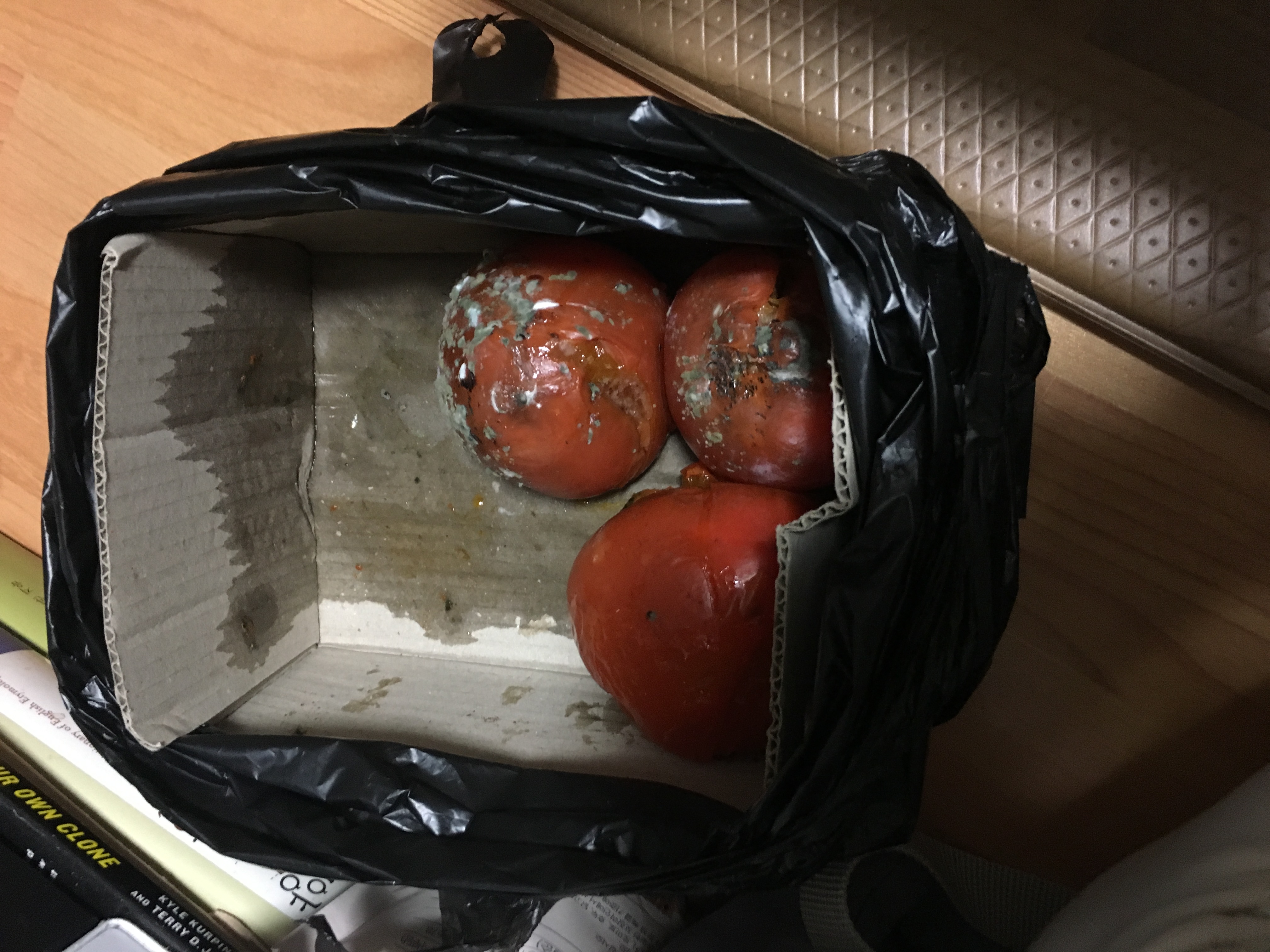 포토 후기 이미지