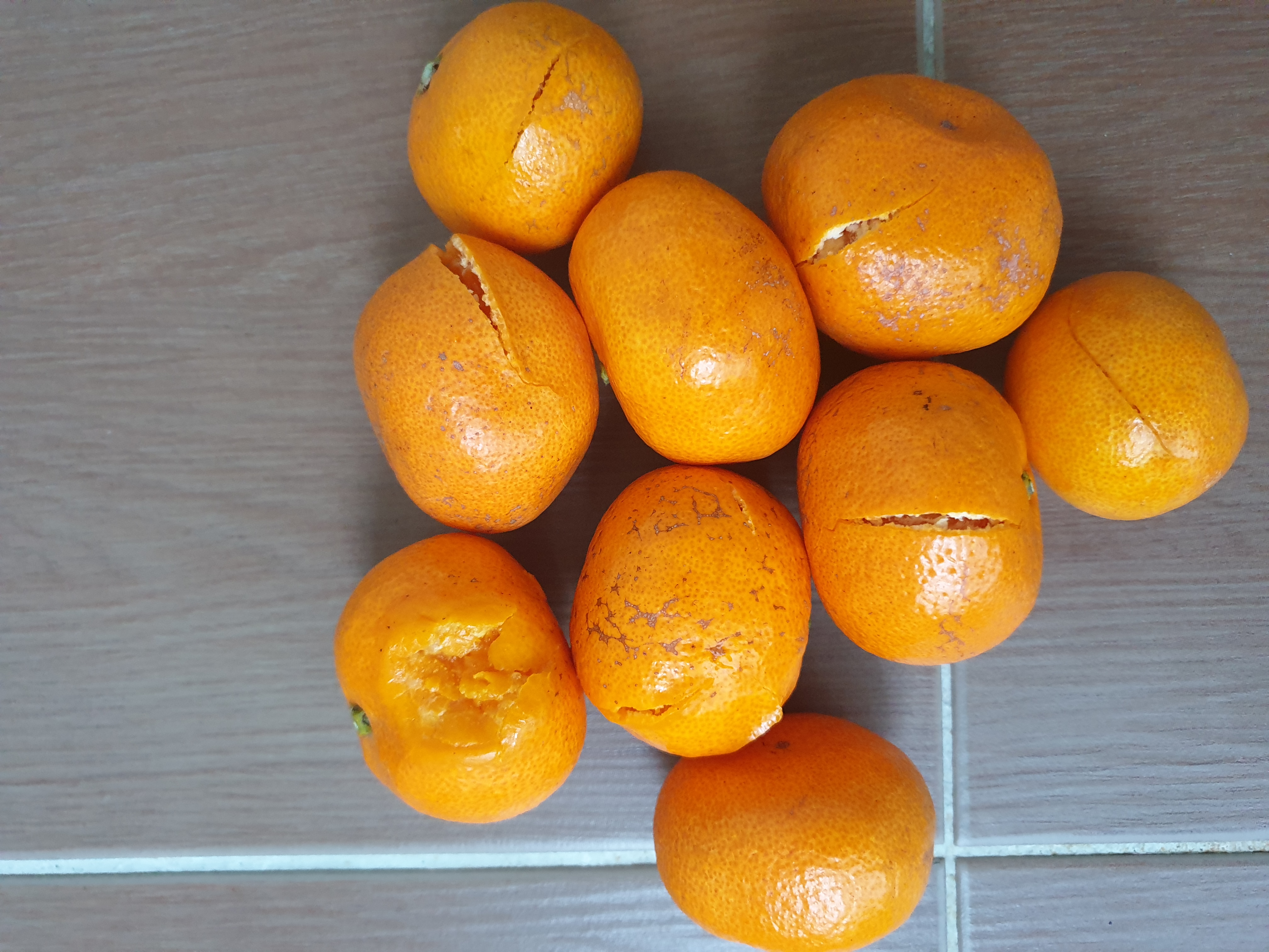 포토 후기 이미지