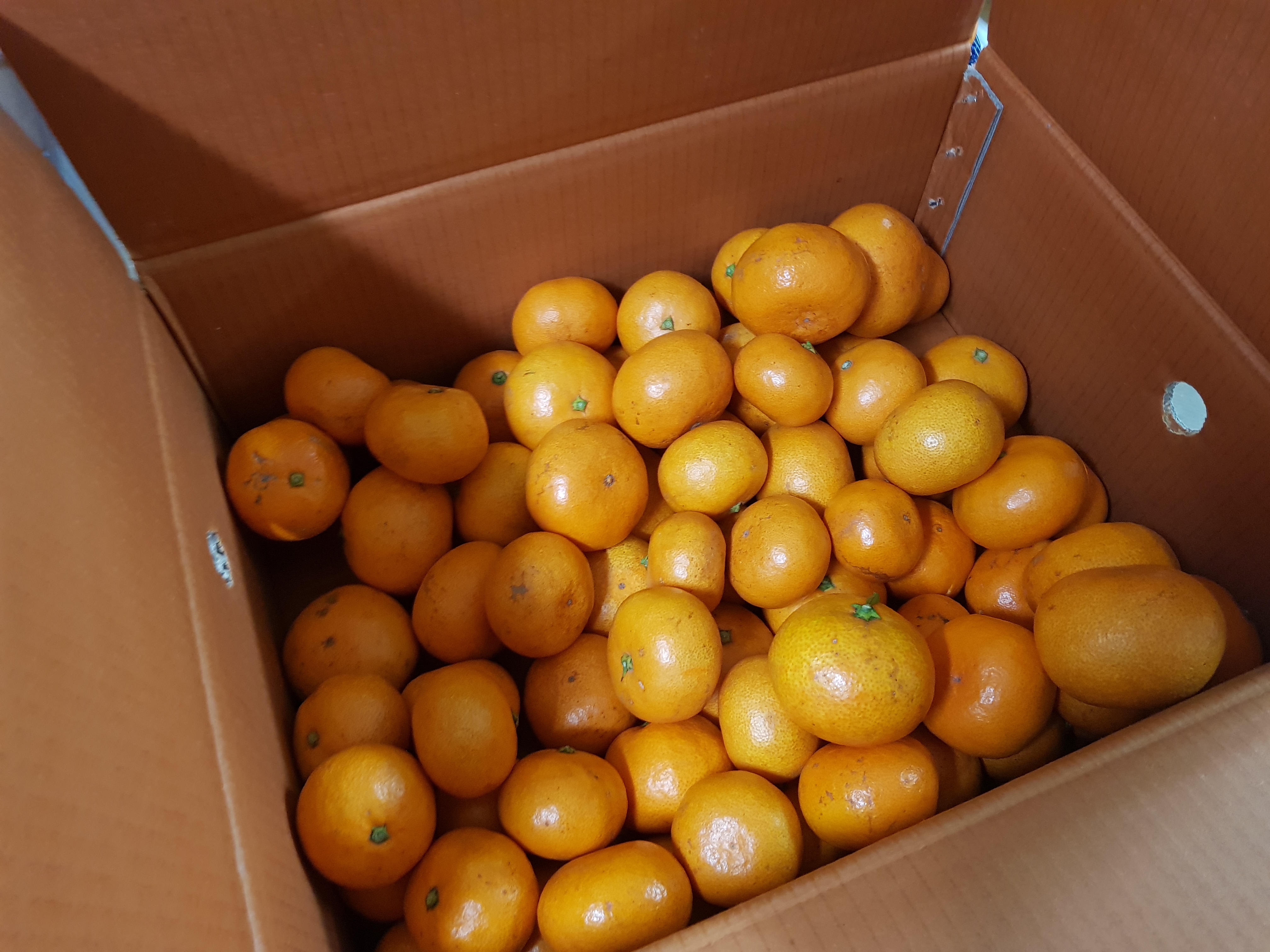 포토 후기 이미지