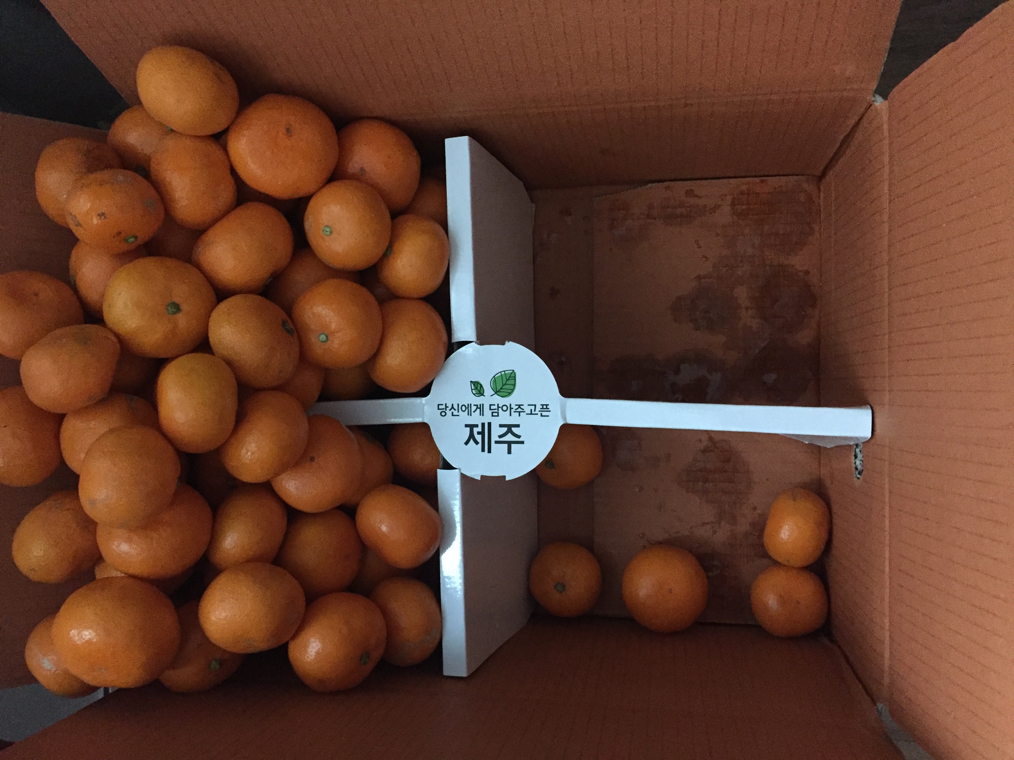 포토 후기 이미지