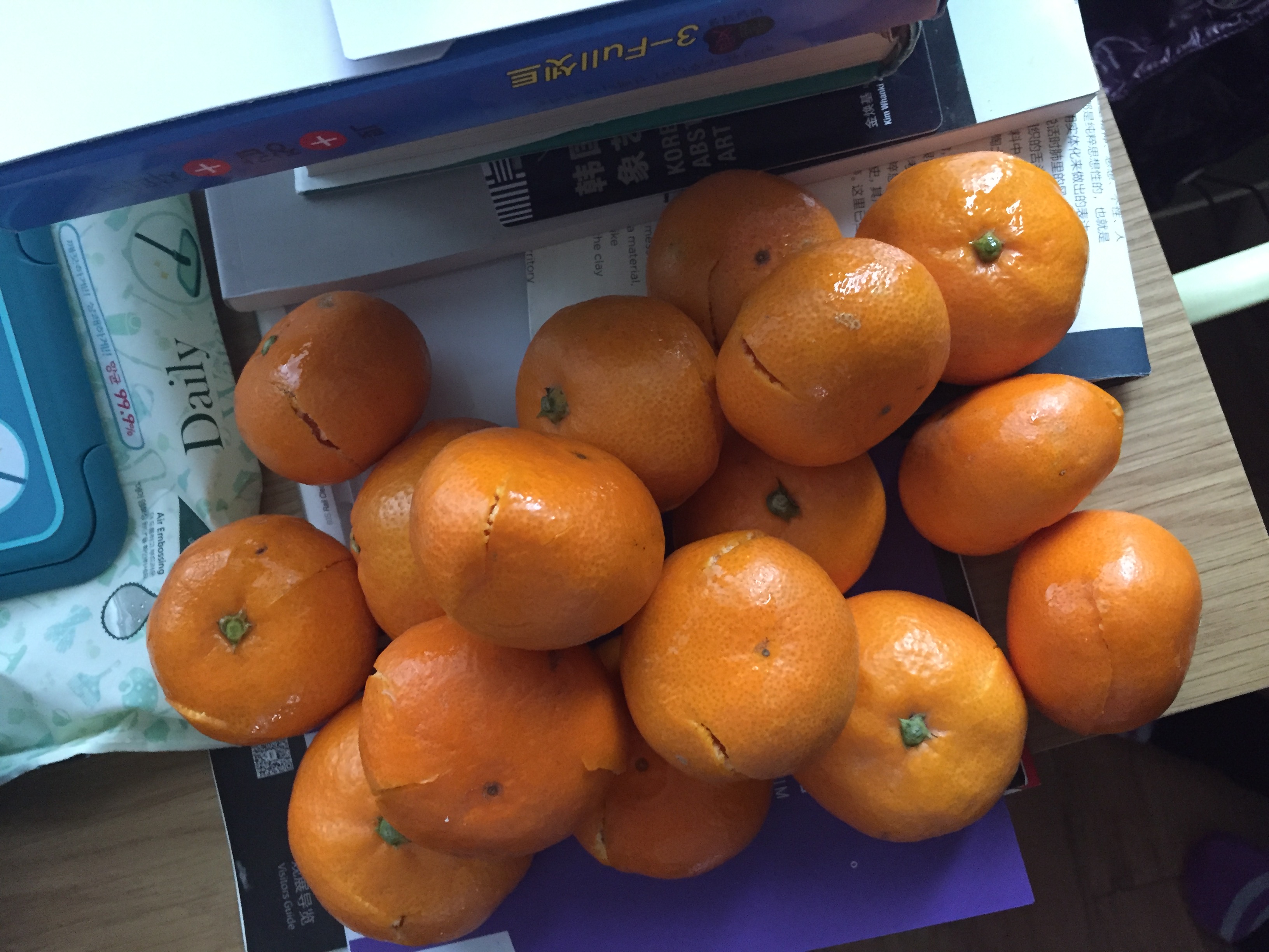 포토 후기 이미지