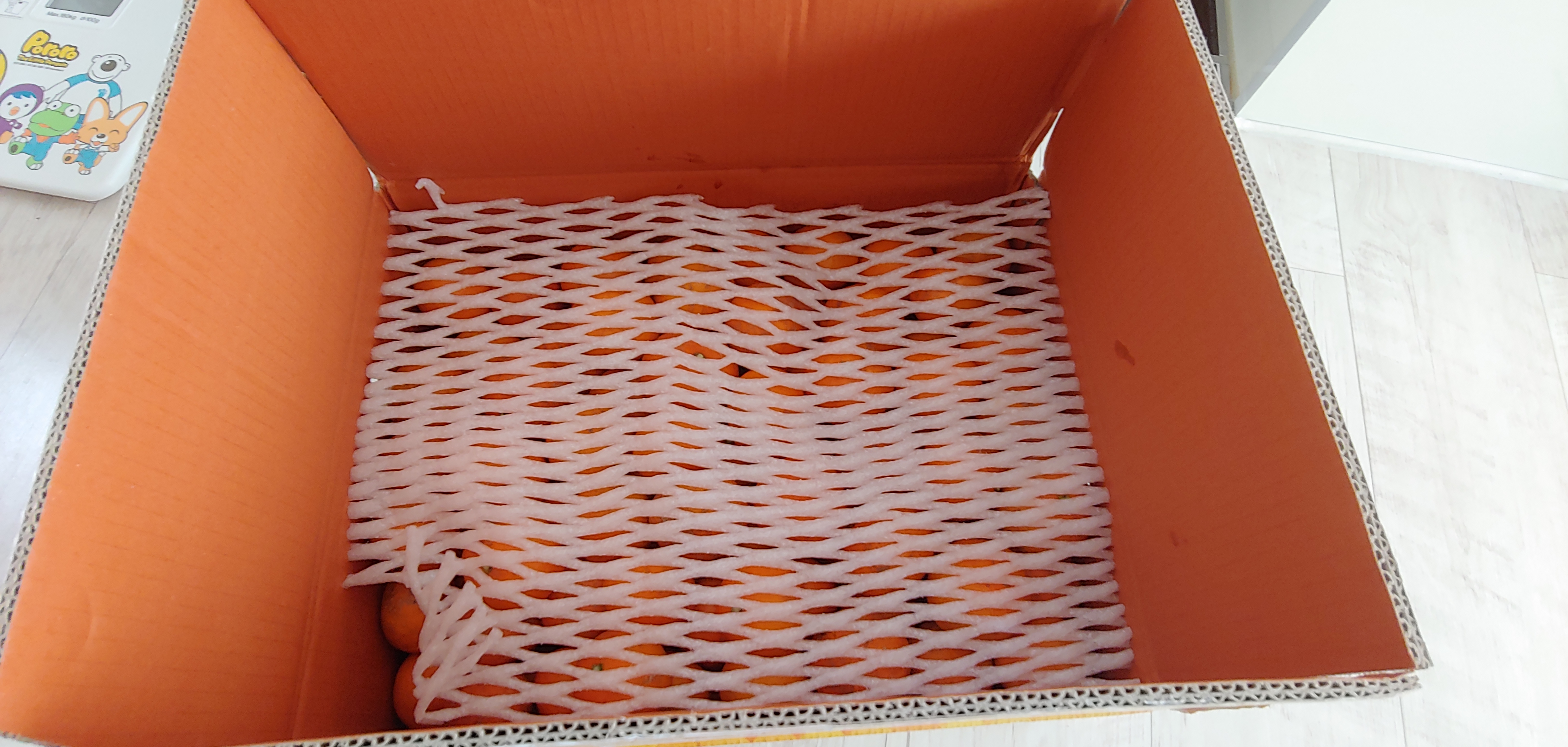 포토 후기 이미지