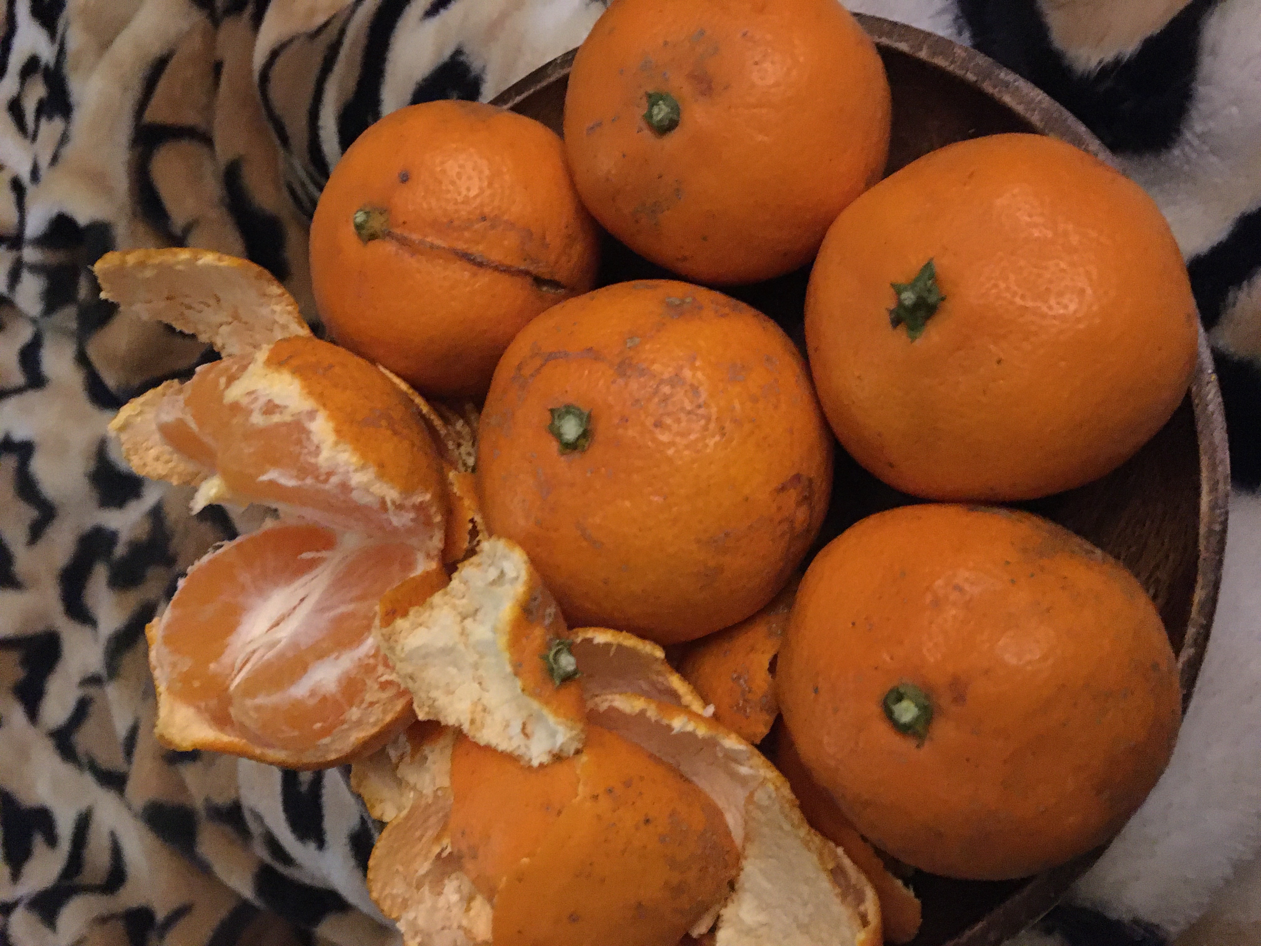 포토 후기 이미지