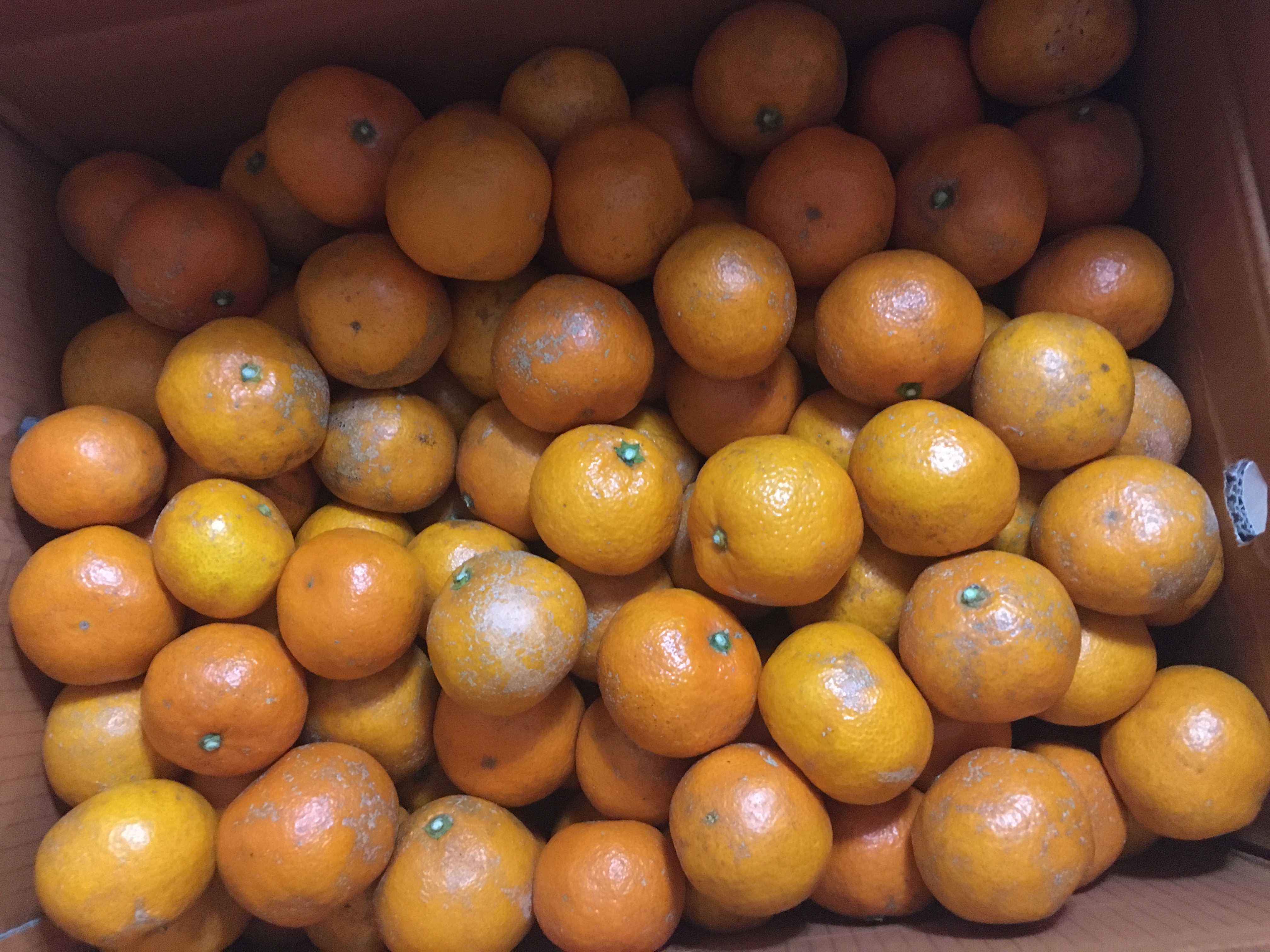 포토후기 이미지