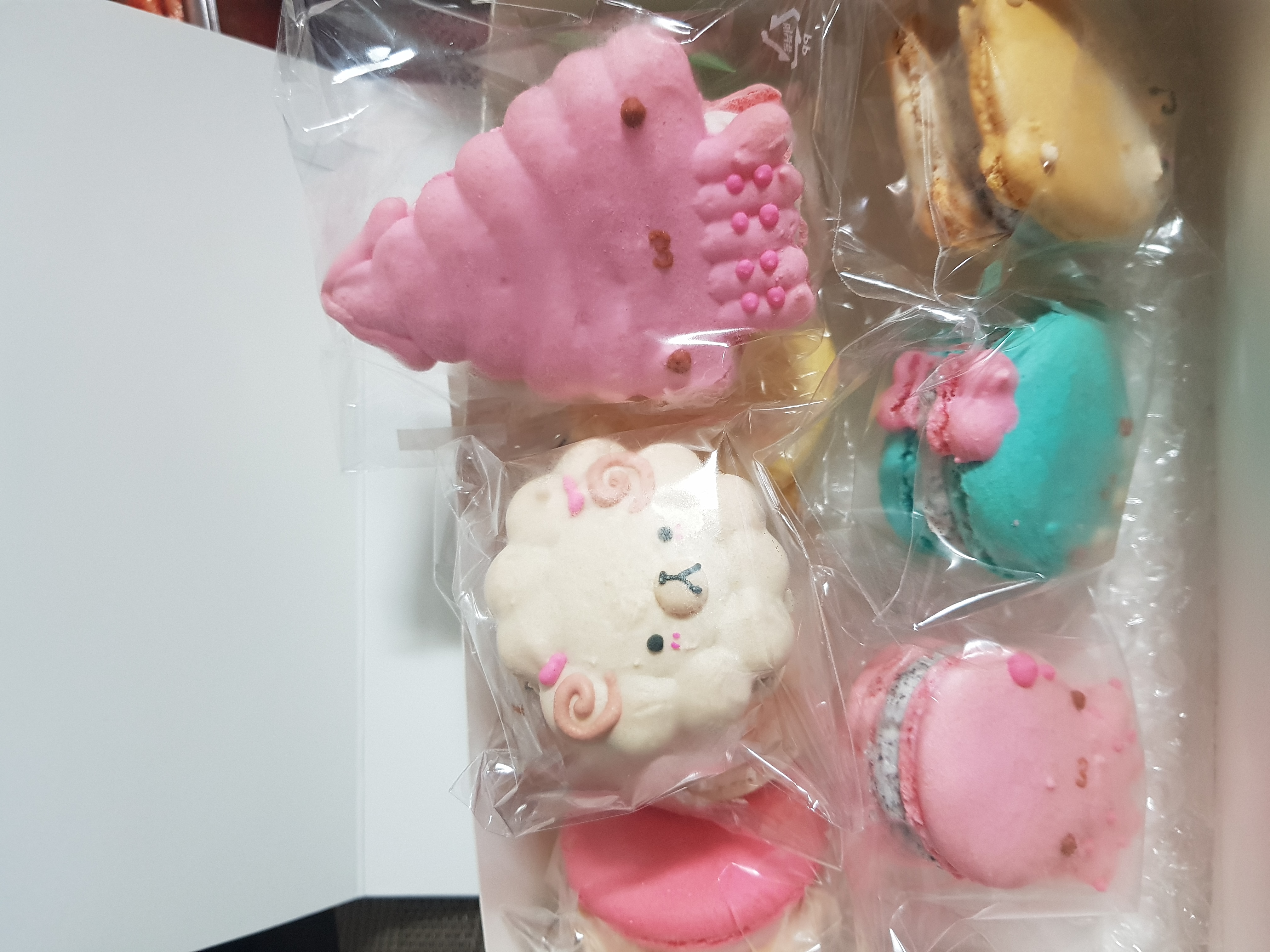 포토후기 이미지
