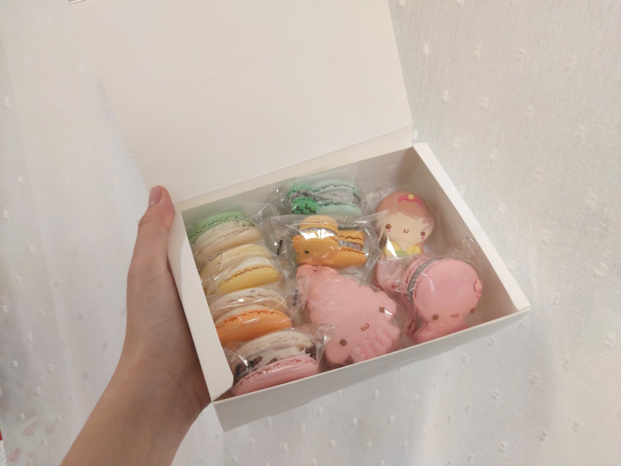 포토후기 이미지