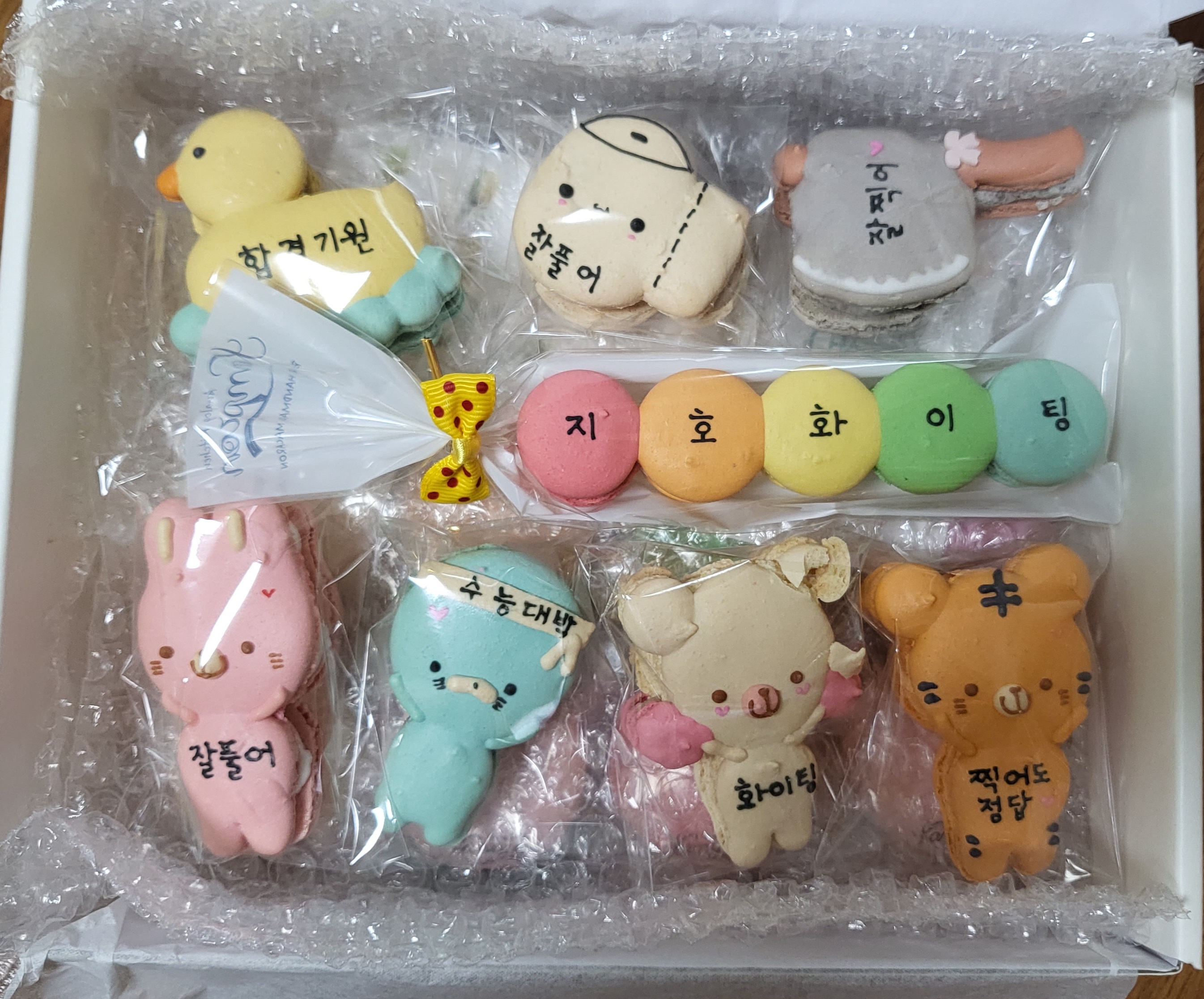 포토후기 이미지