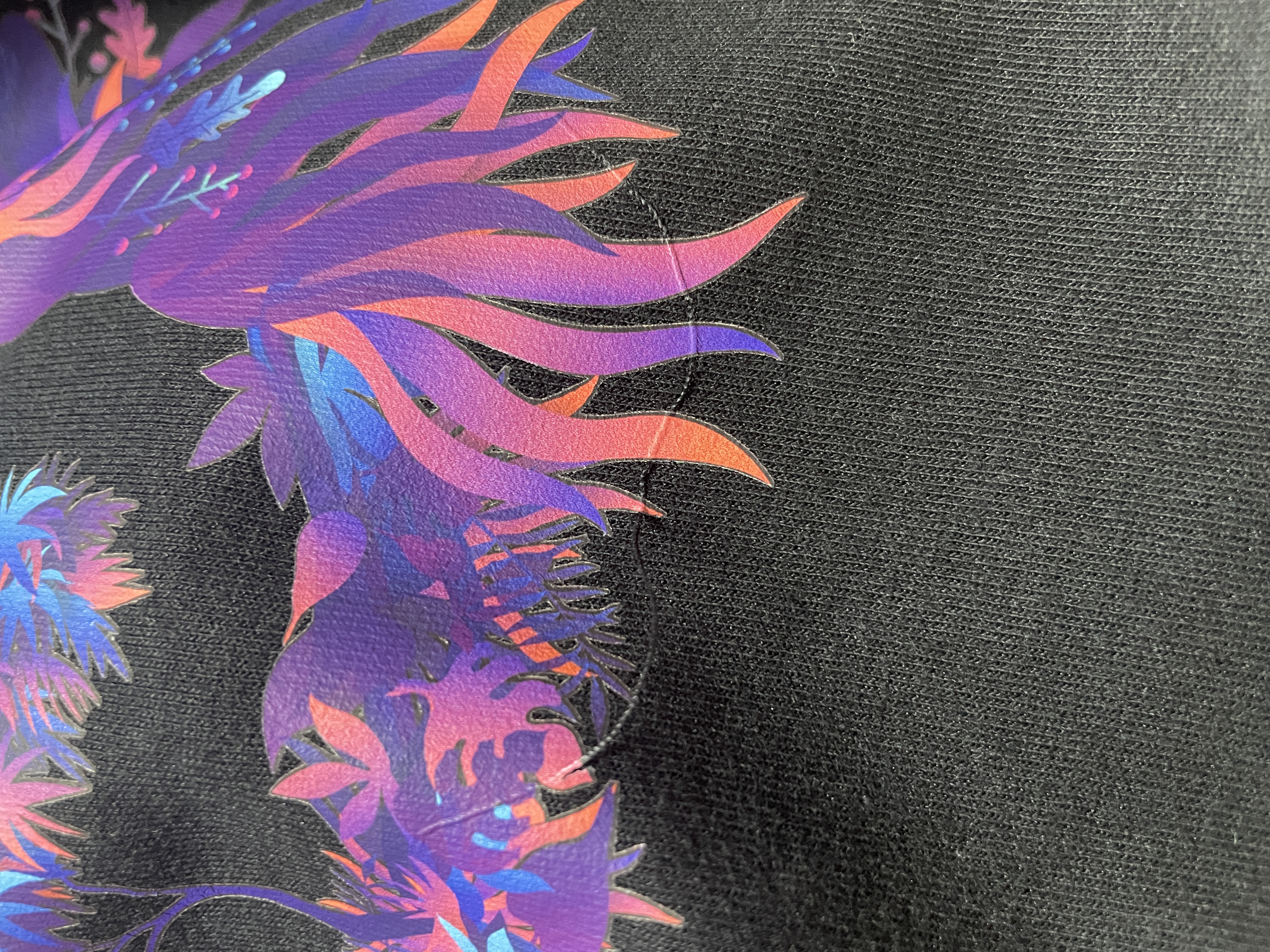 포토후기 이미지