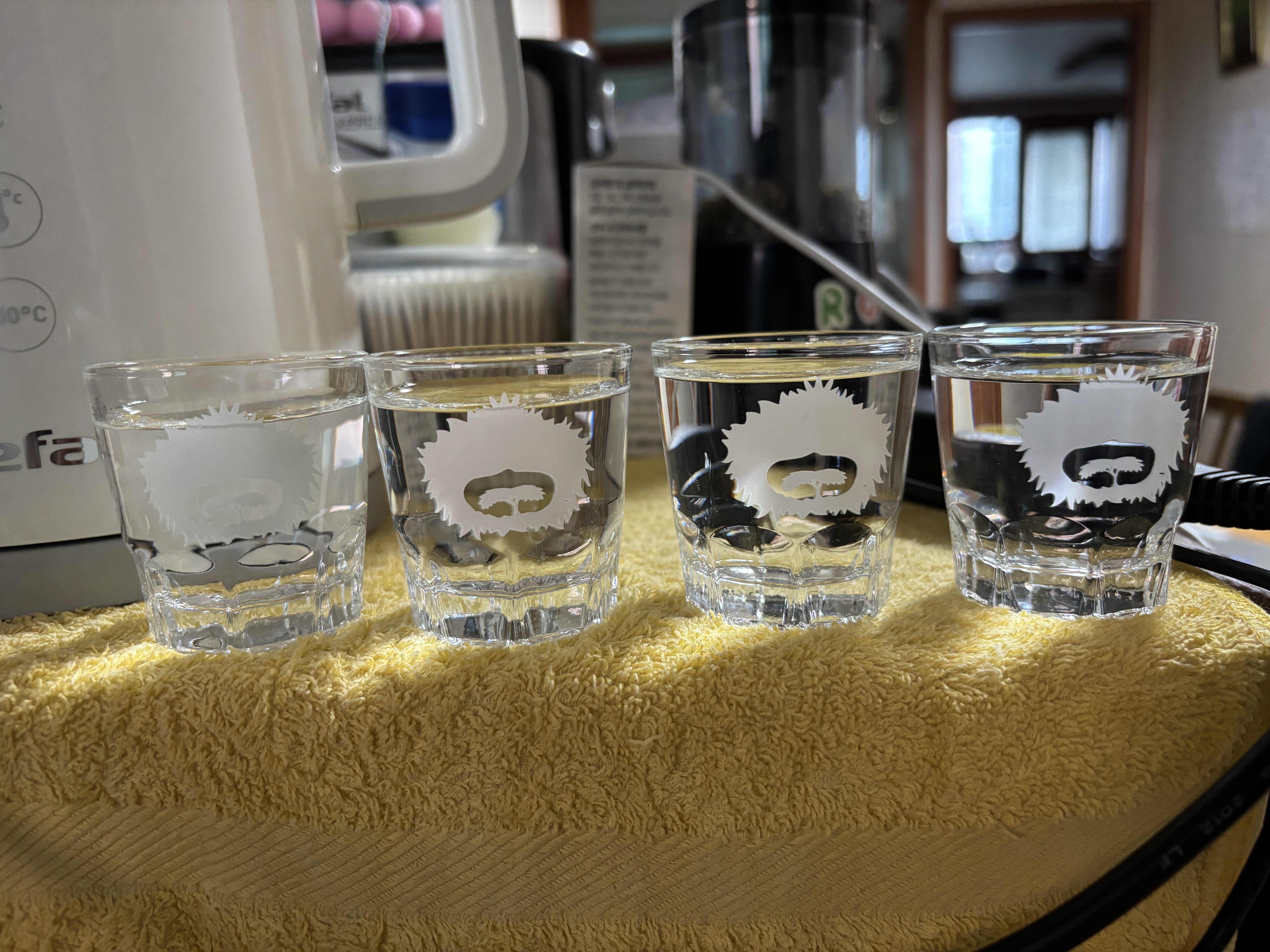 포토후기 이미지