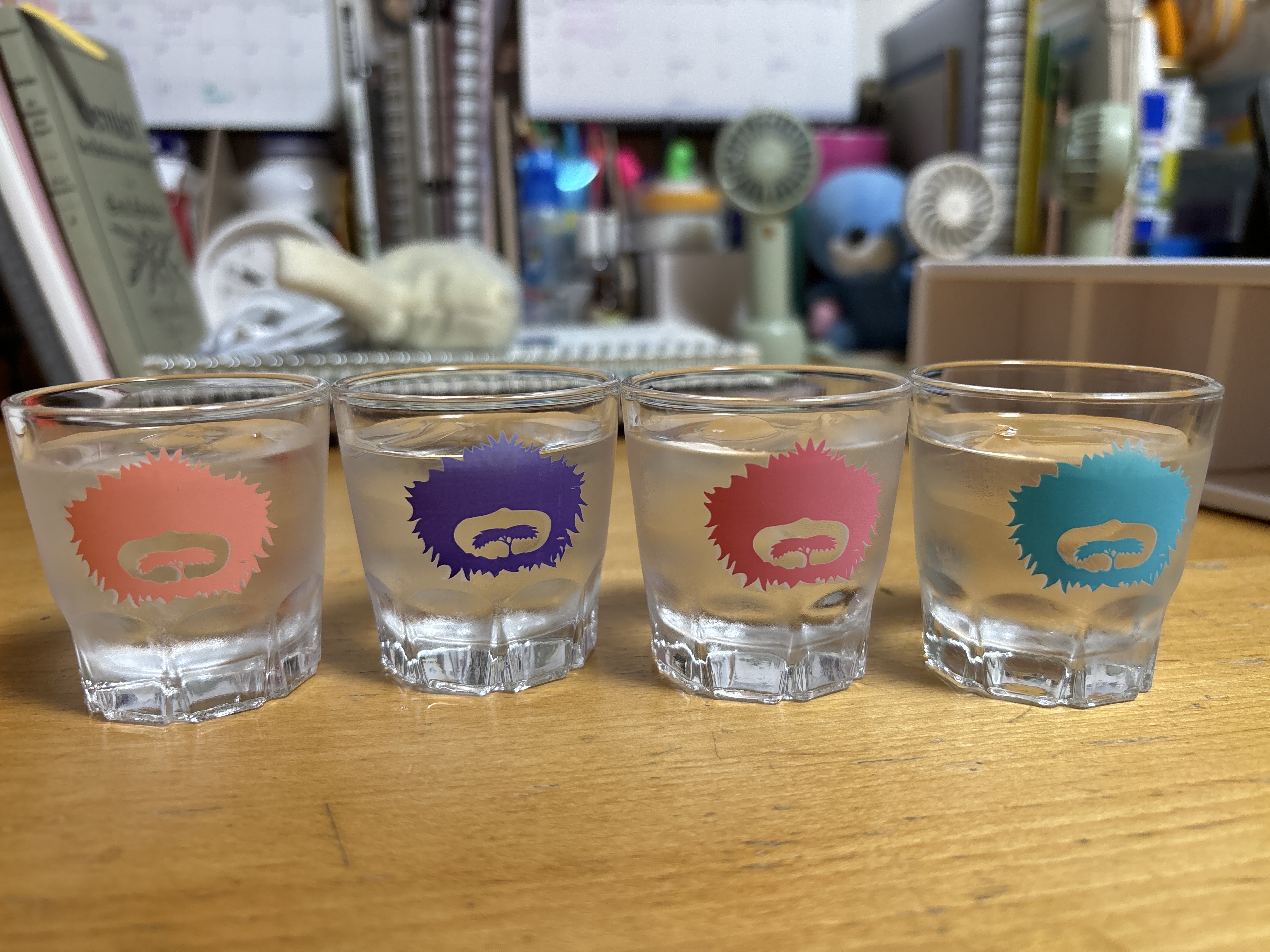 포토후기 이미지