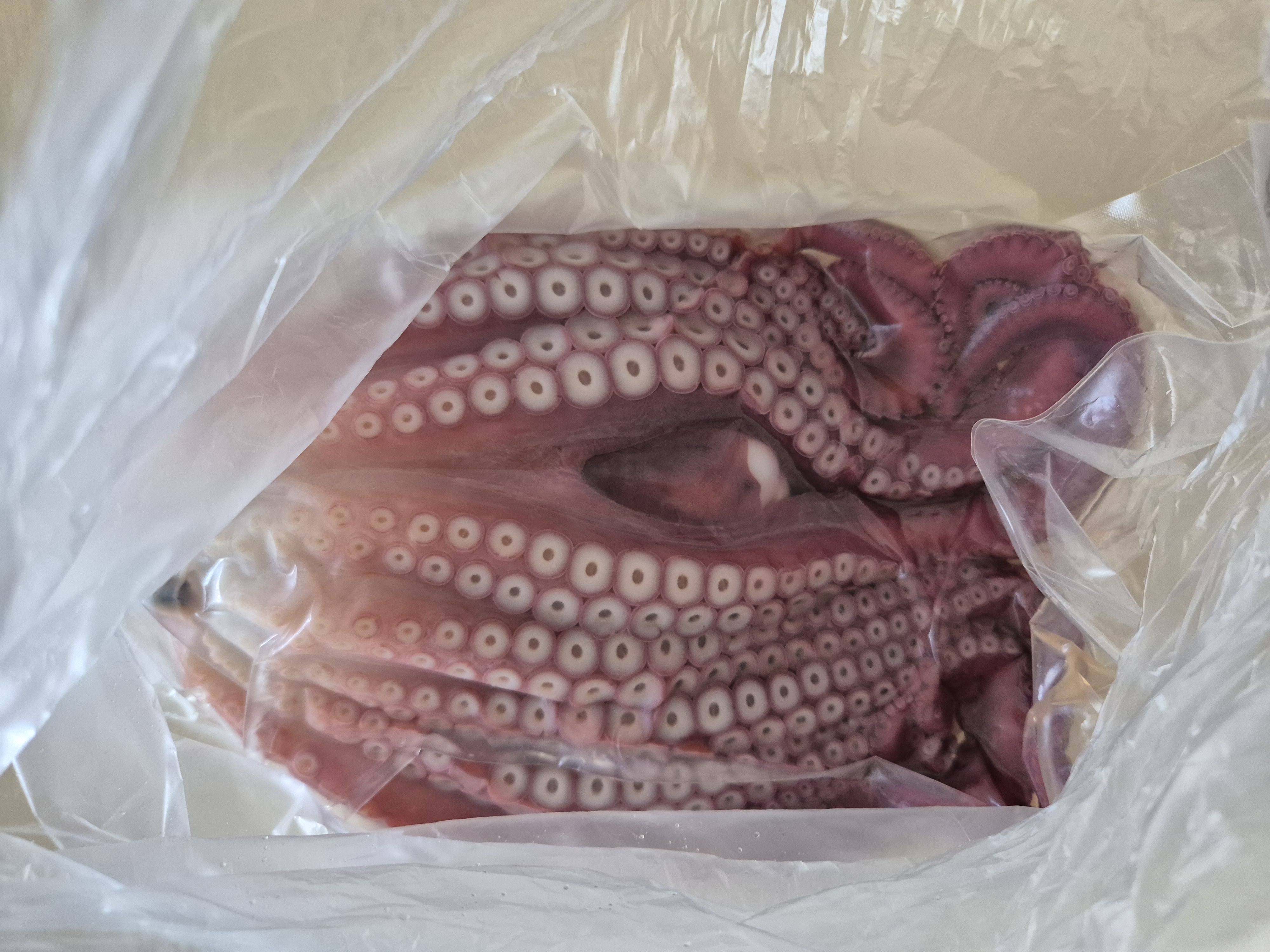 포토 후기 이미지