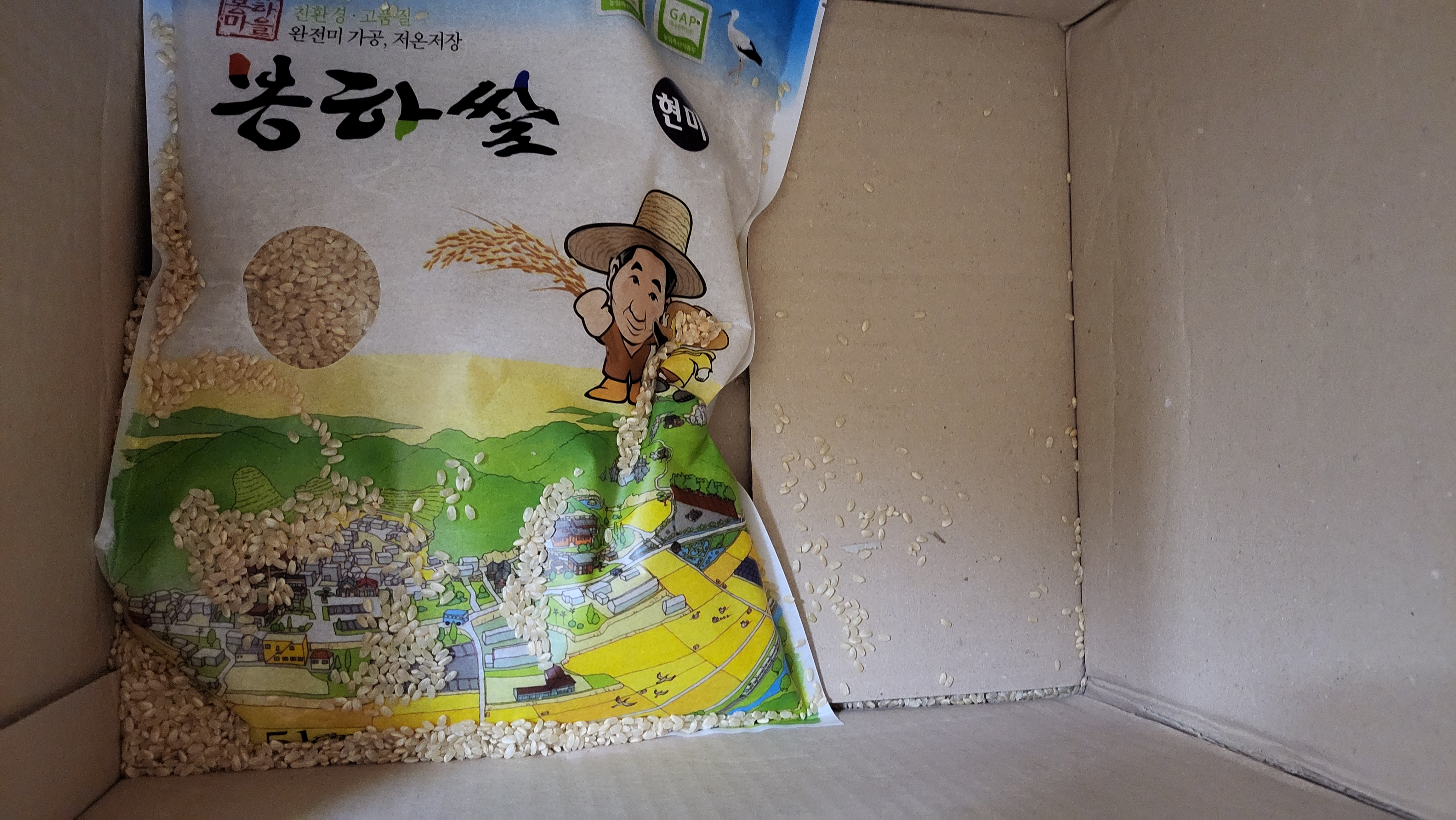 포토 후기 이미지
