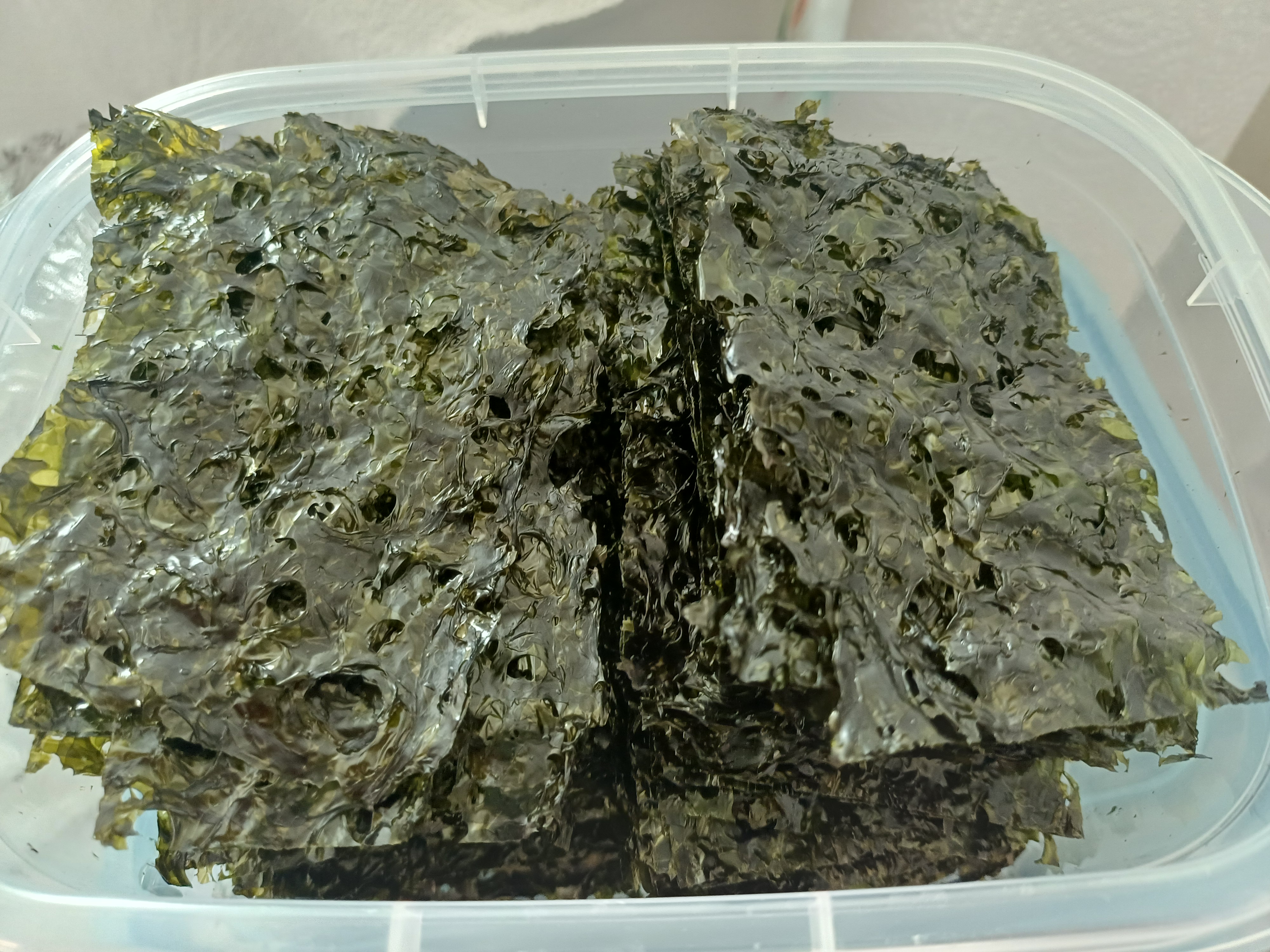 포토 후기 이미지