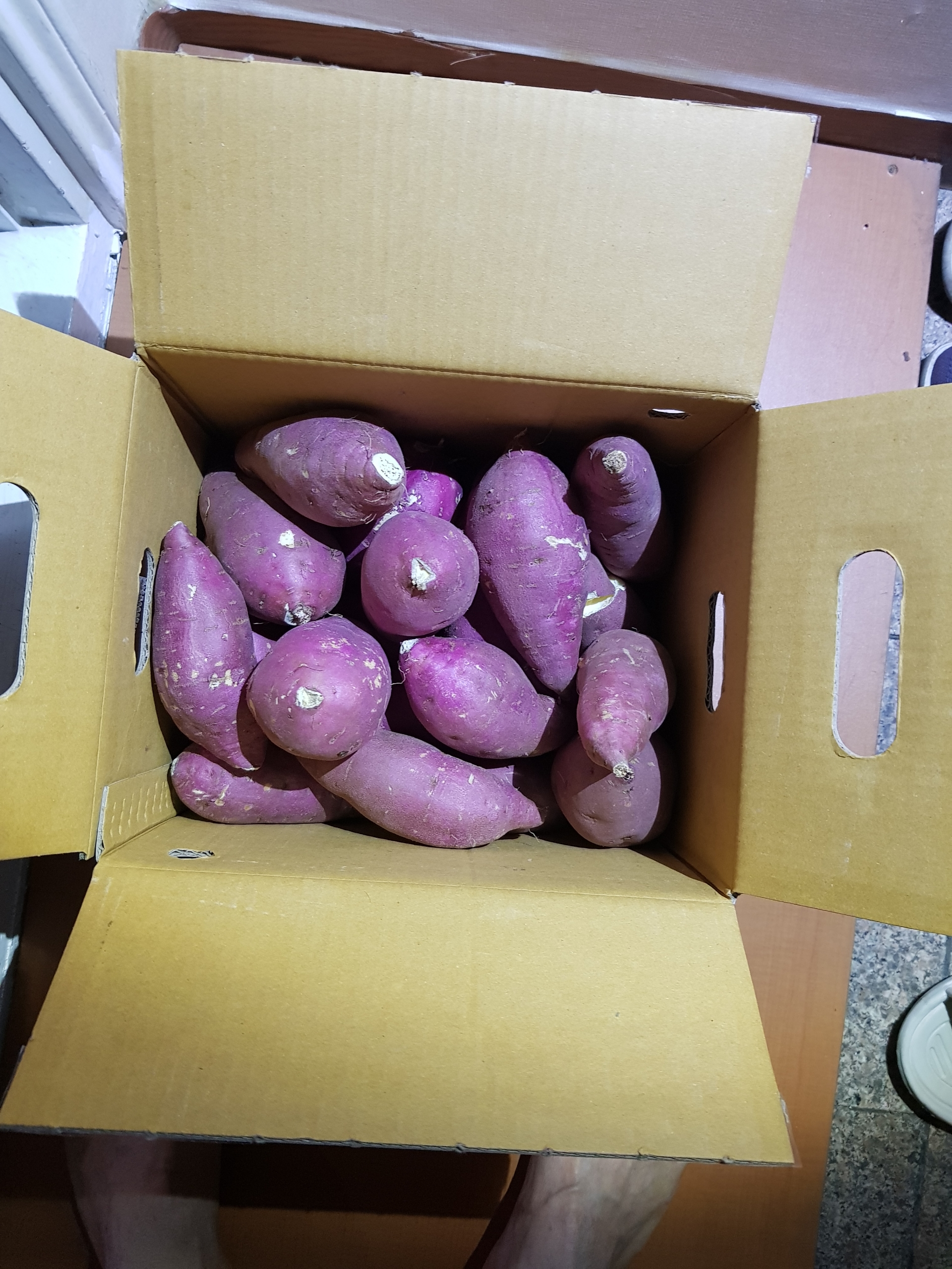 포토 후기 이미지