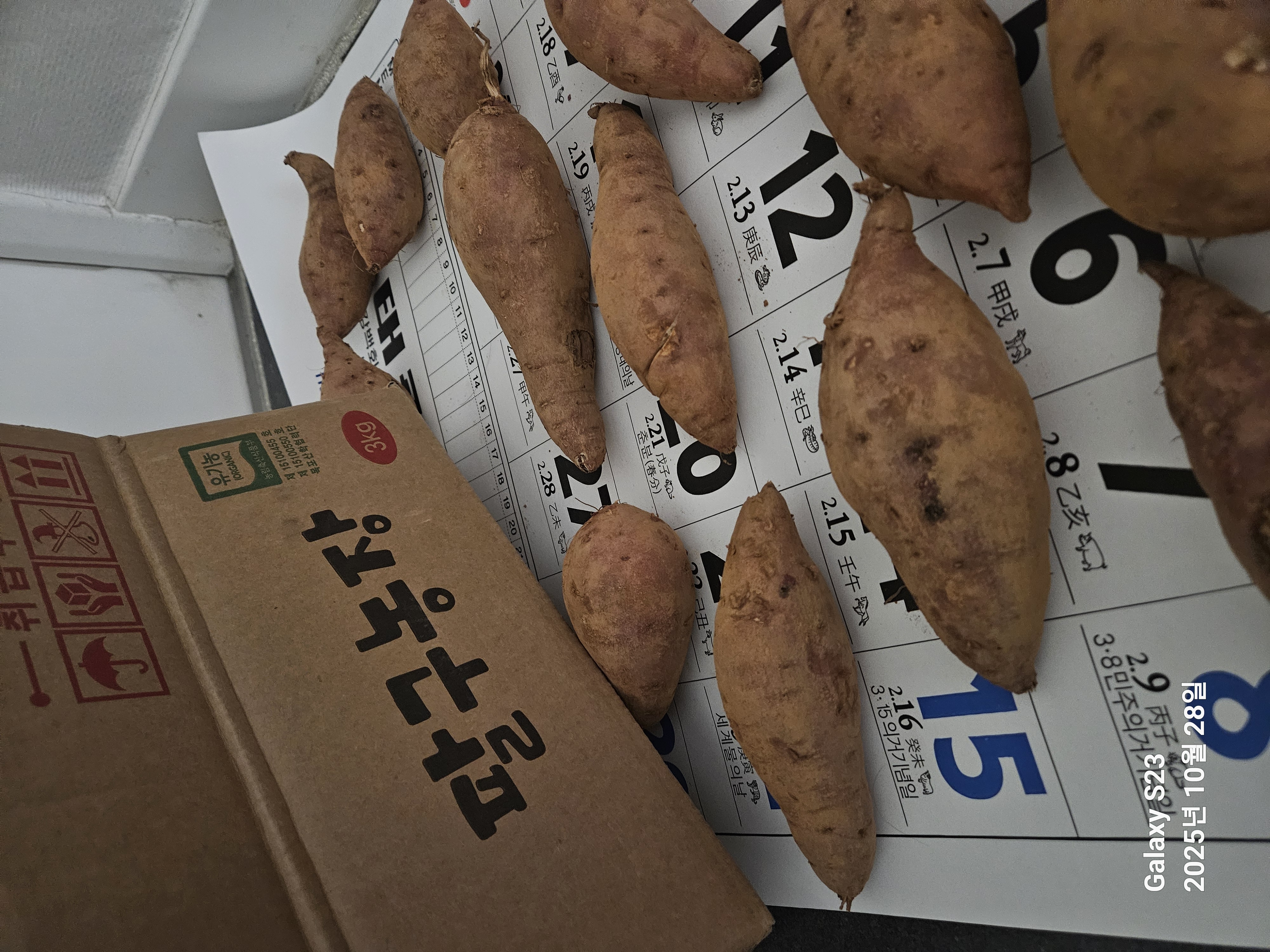 포토 후기 이미지