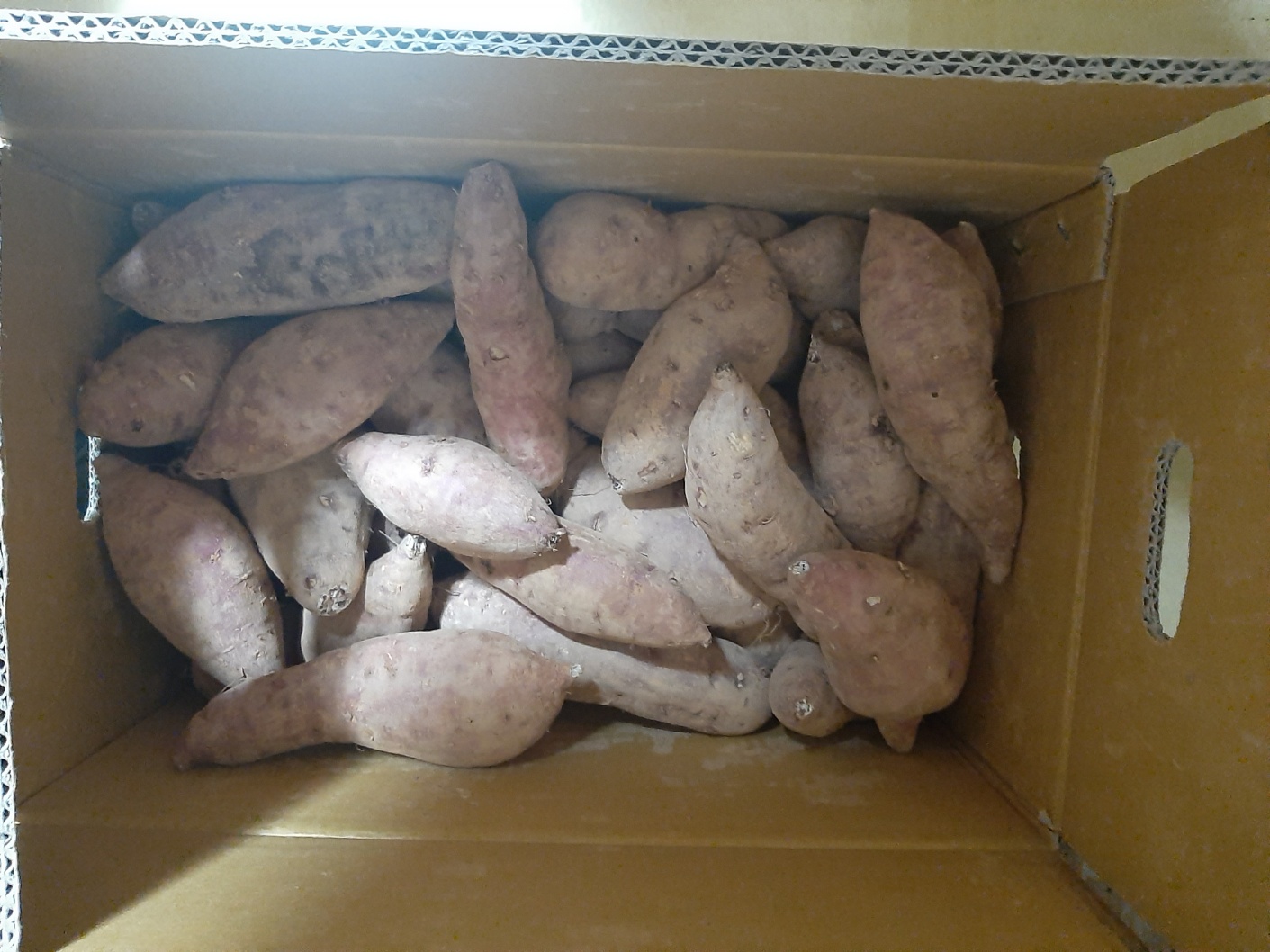 포토 후기 이미지