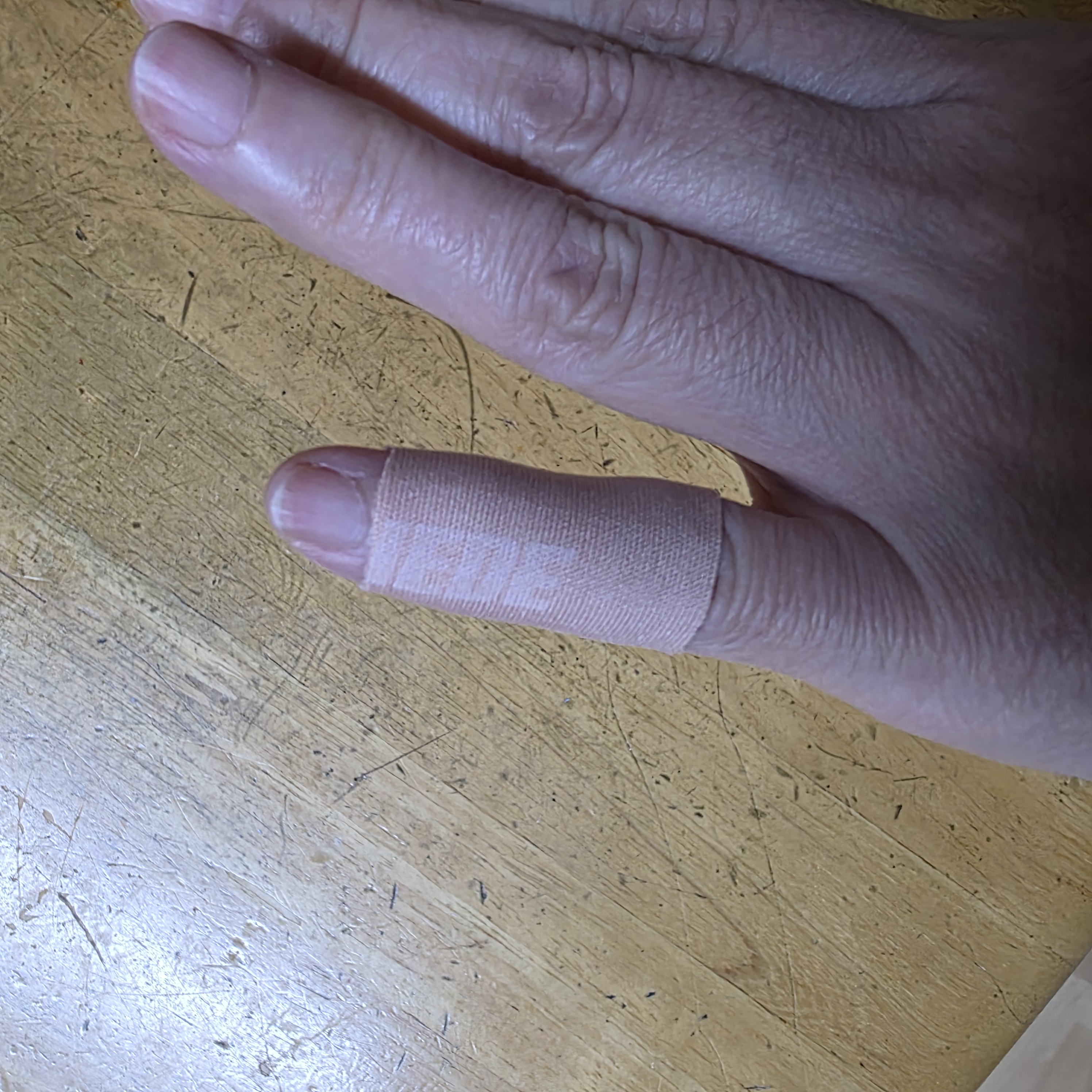 포토 후기 이미지