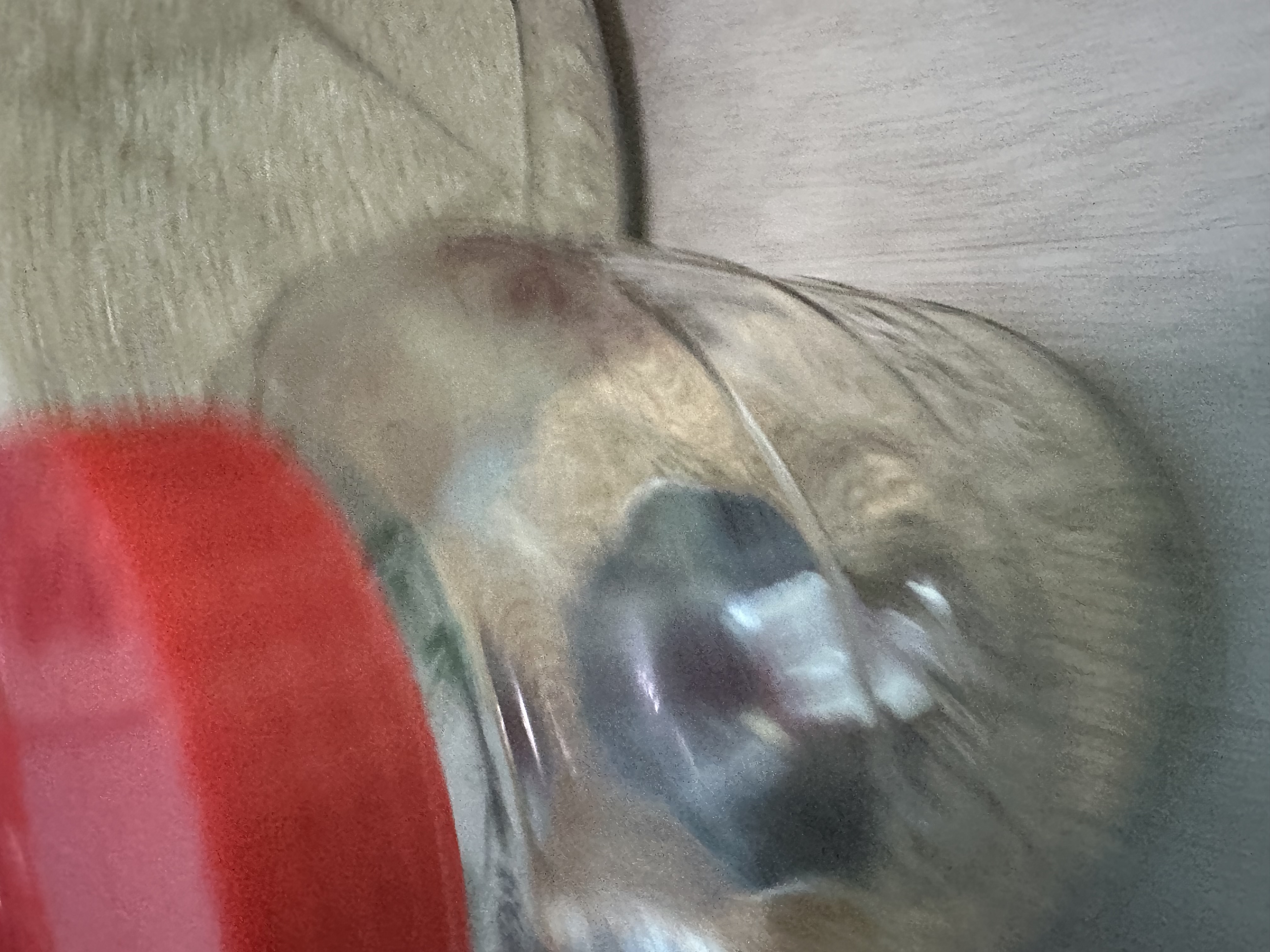 포토 후기 이미지