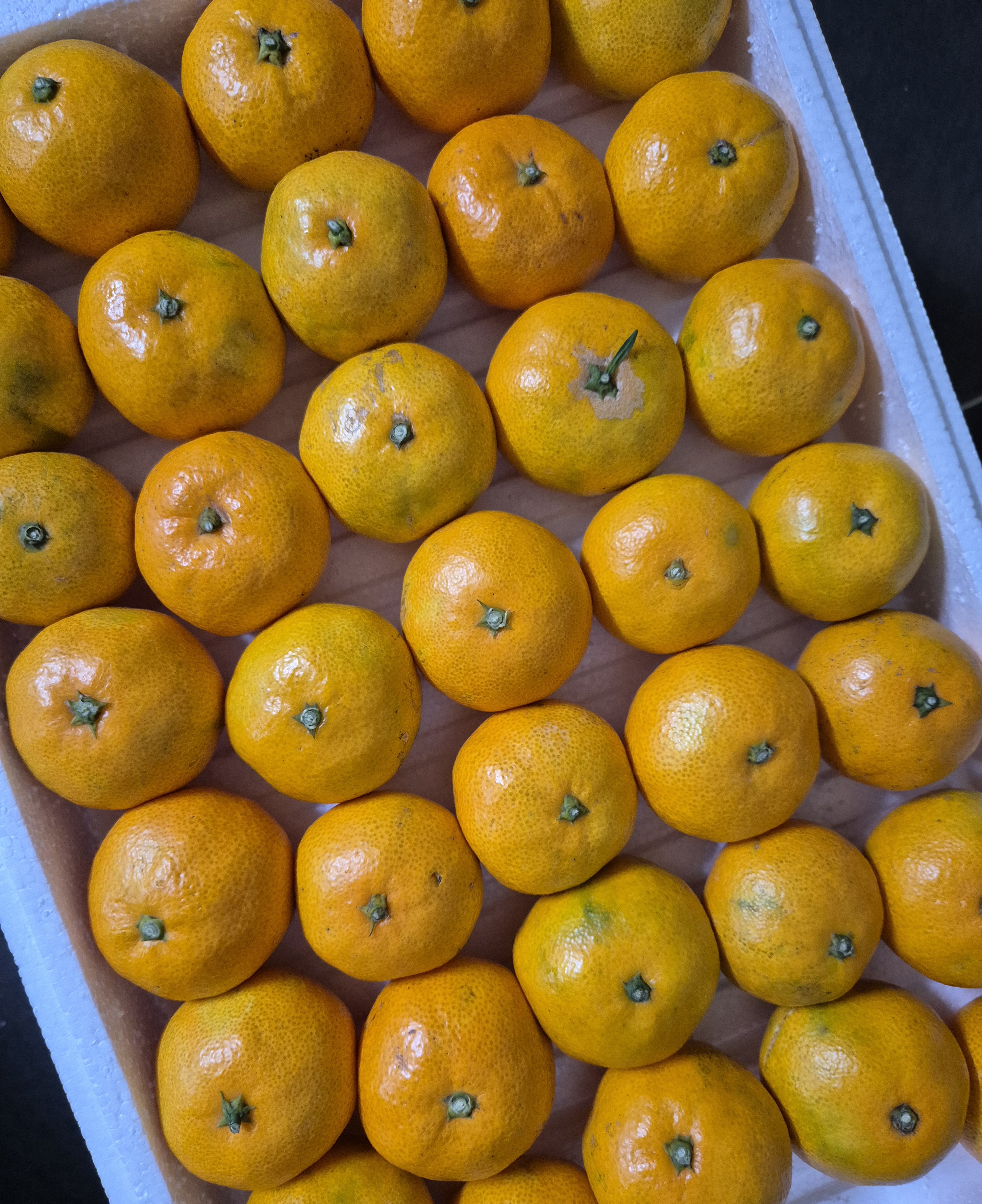 포토 후기 이미지