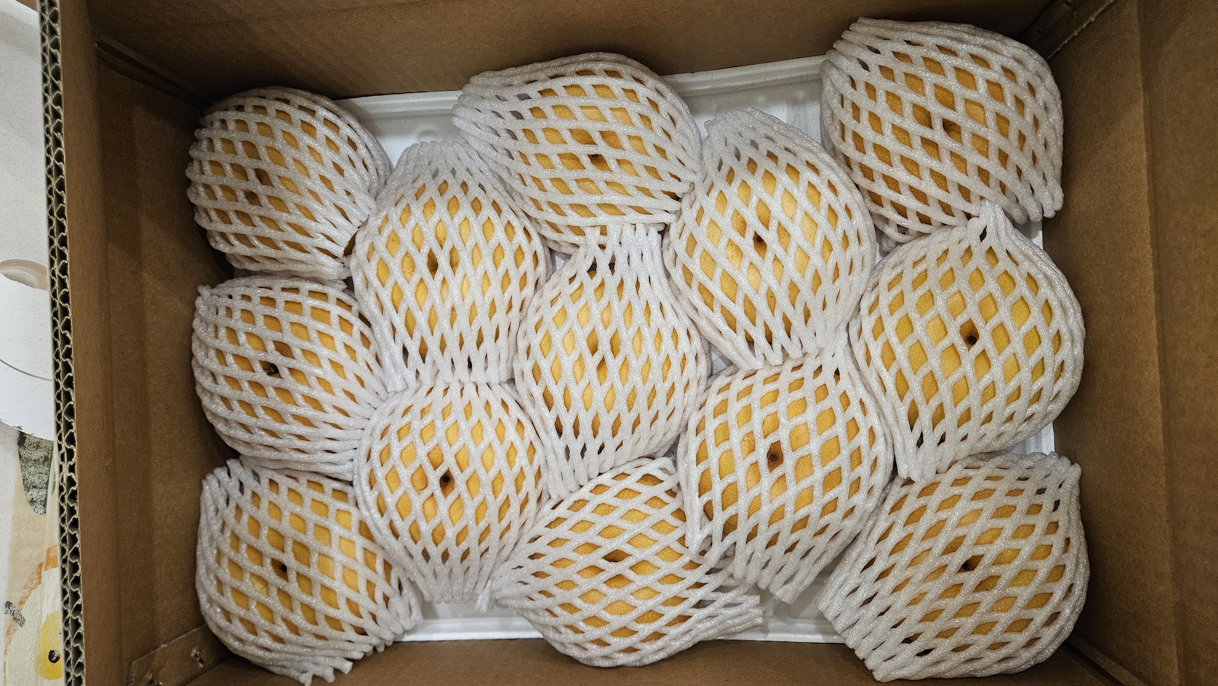 포토 후기 이미지