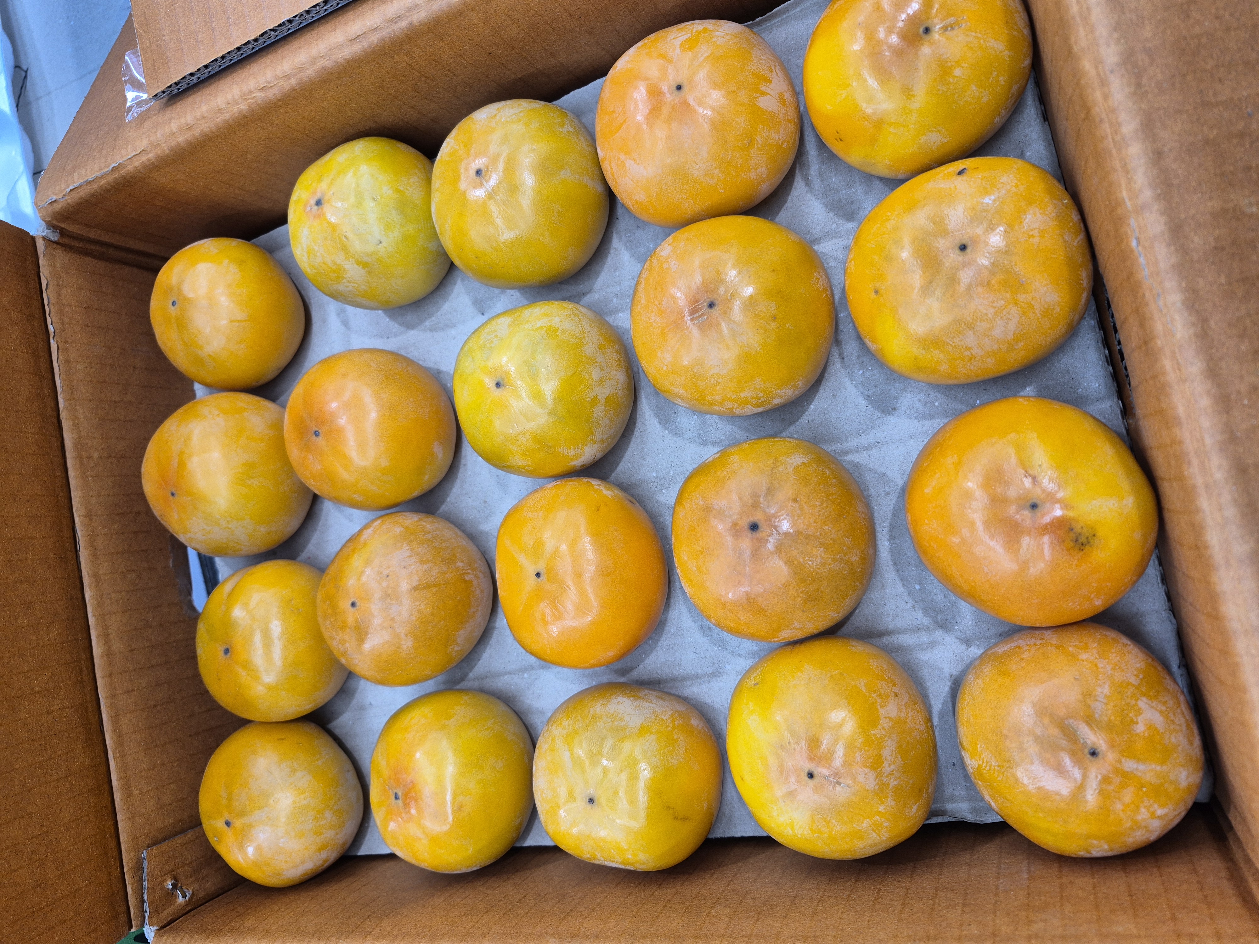 포토 후기 이미지