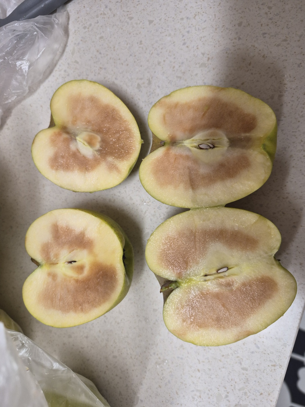 포토 후기 이미지