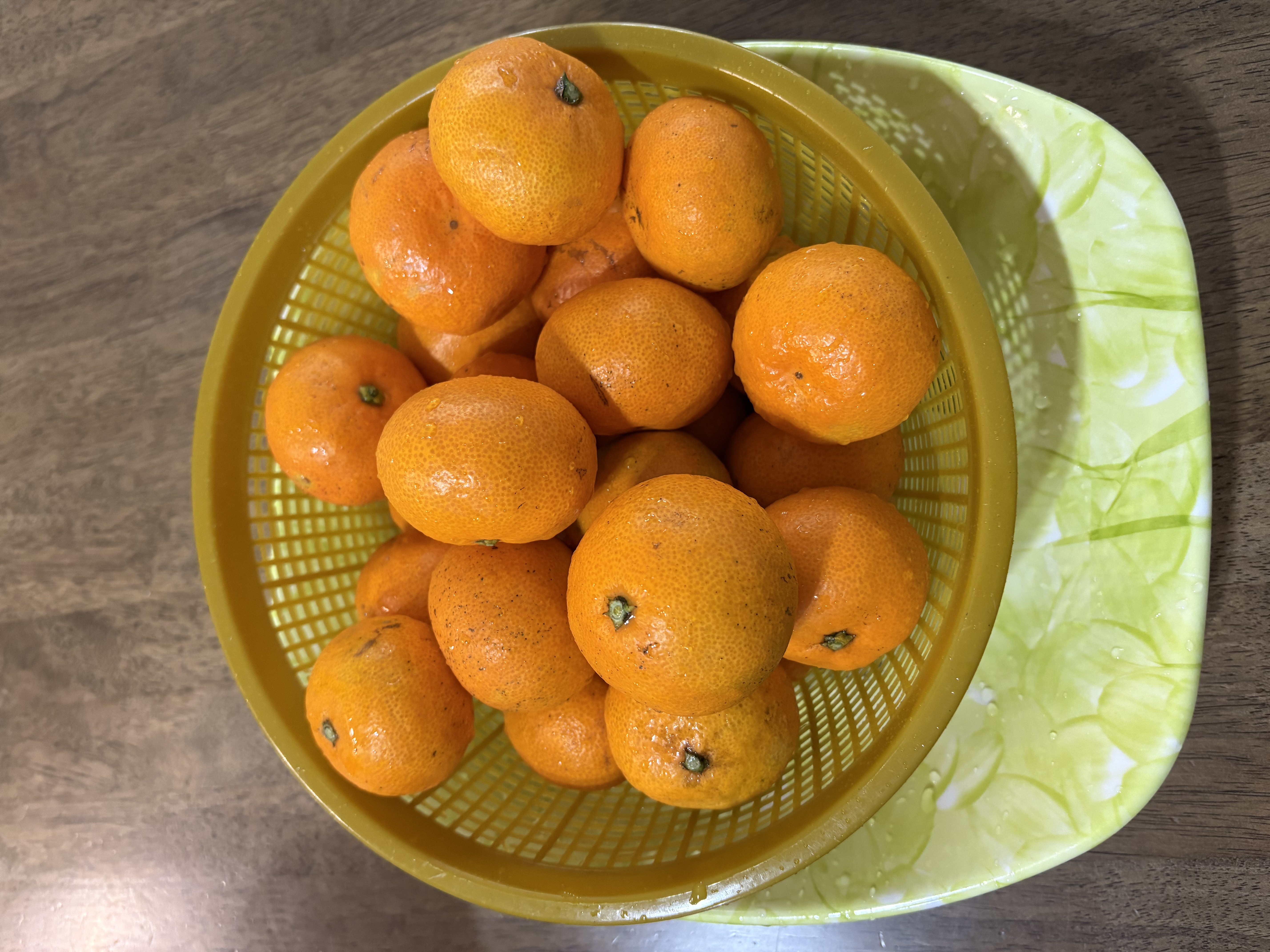 포토후기 이미지