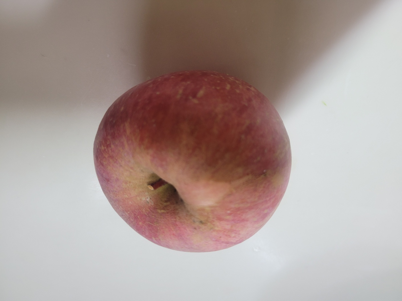 포토 후기 이미지