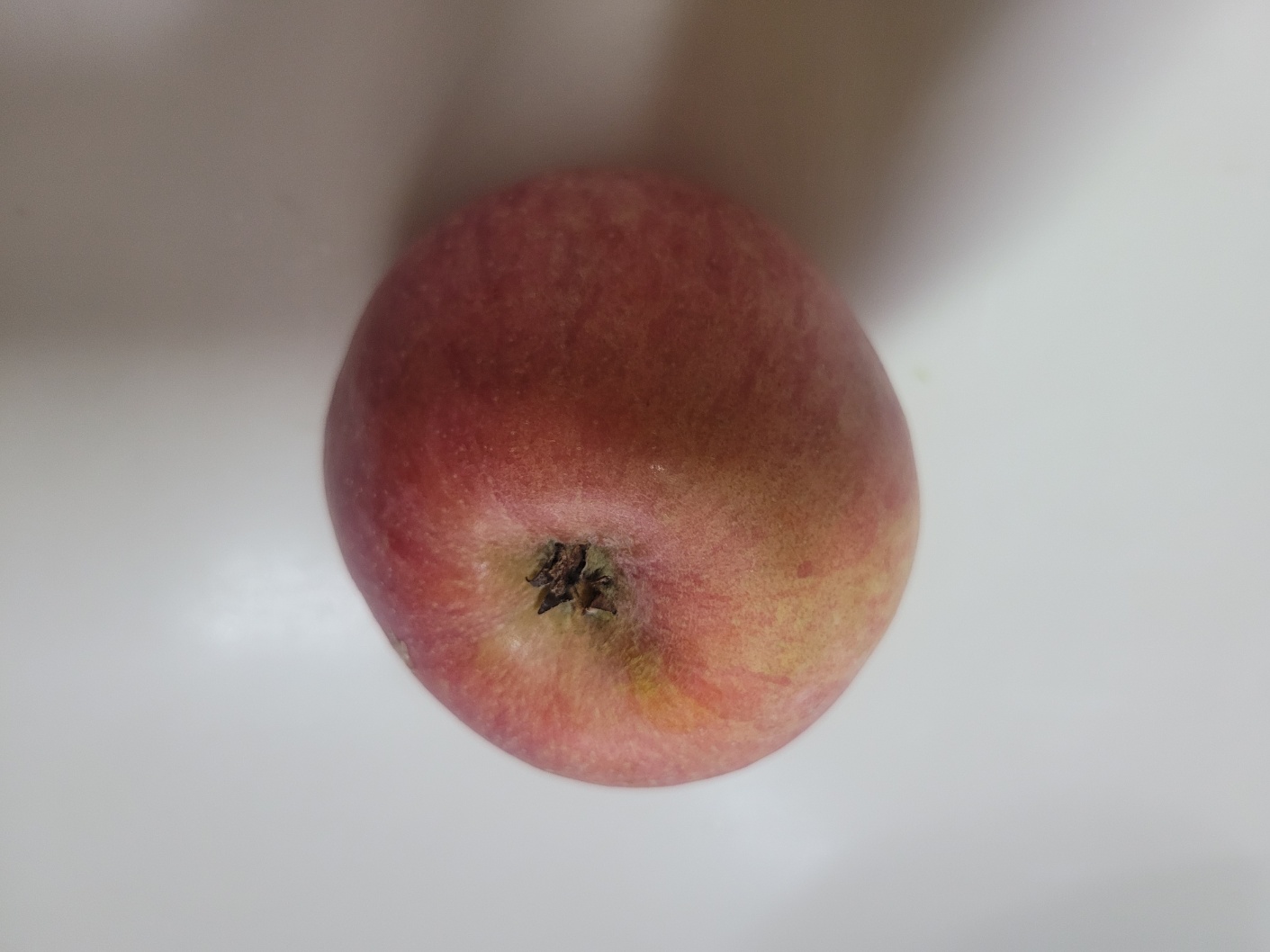 포토 후기 이미지