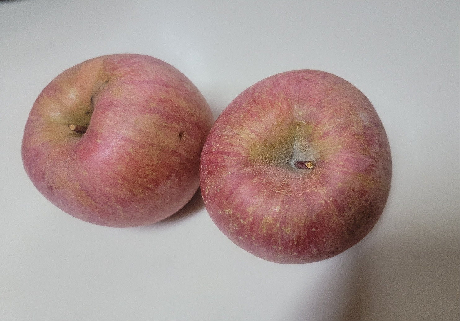 포토 후기 이미지