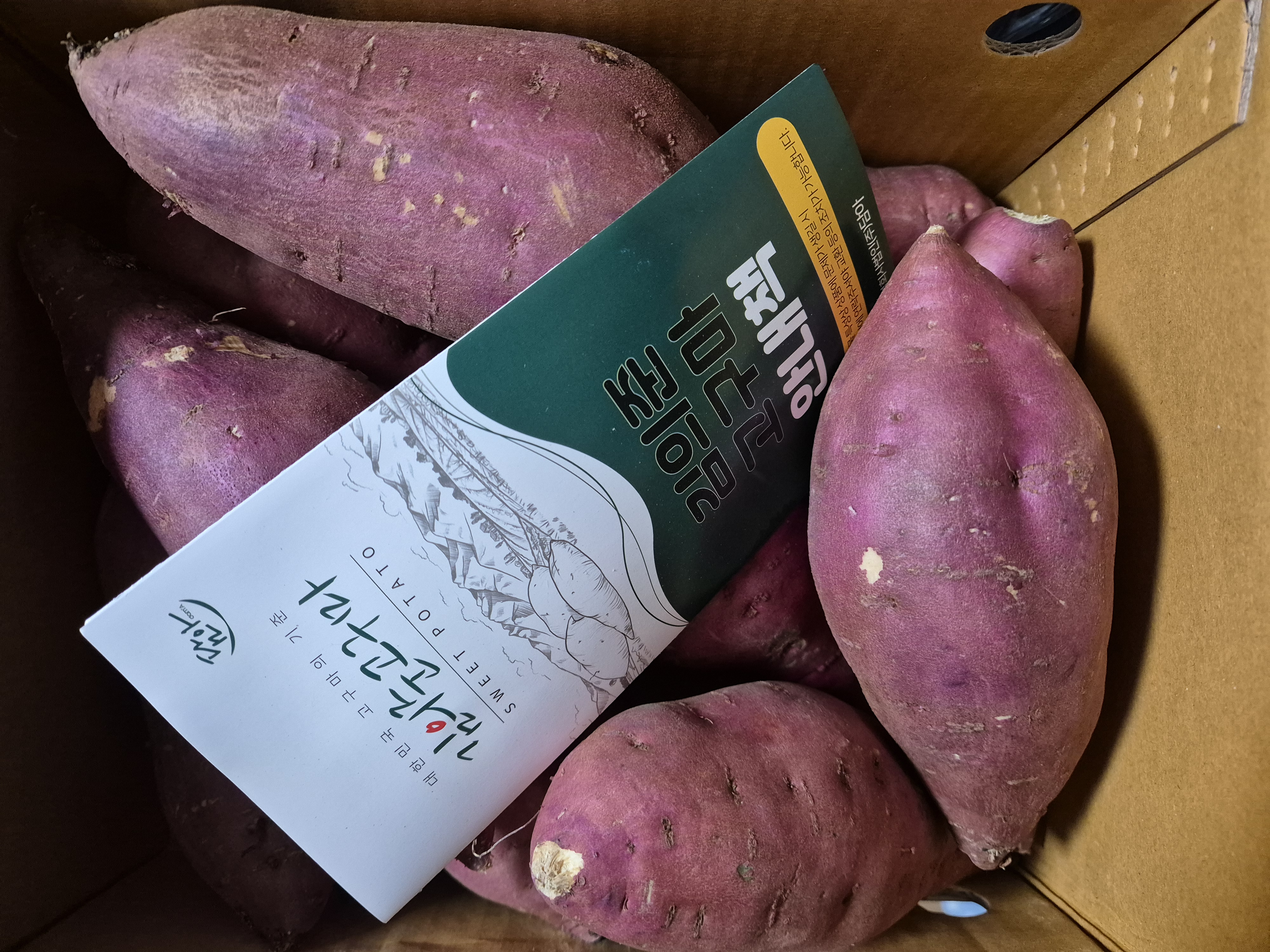 포토후기 이미지