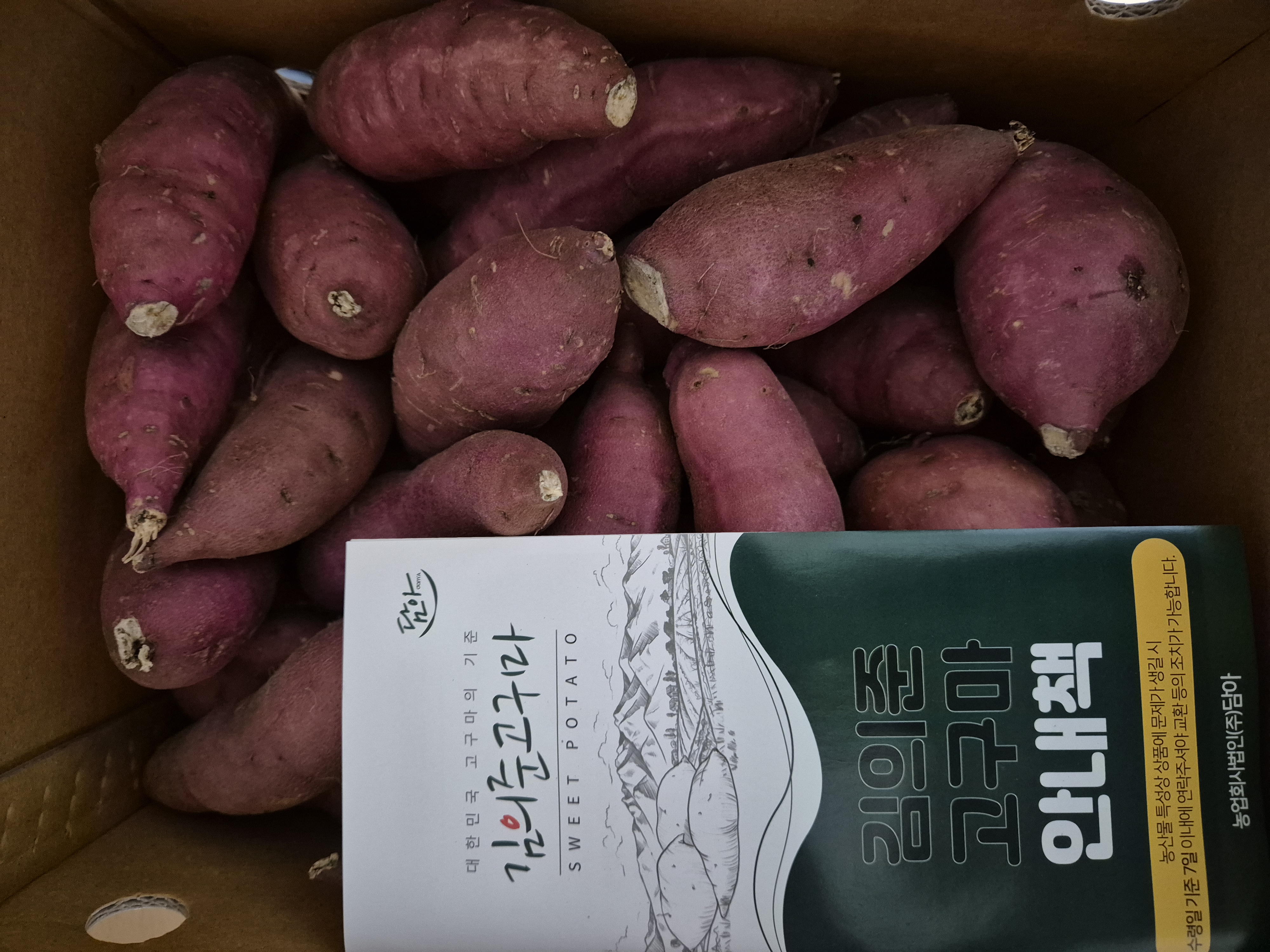 포토후기 이미지