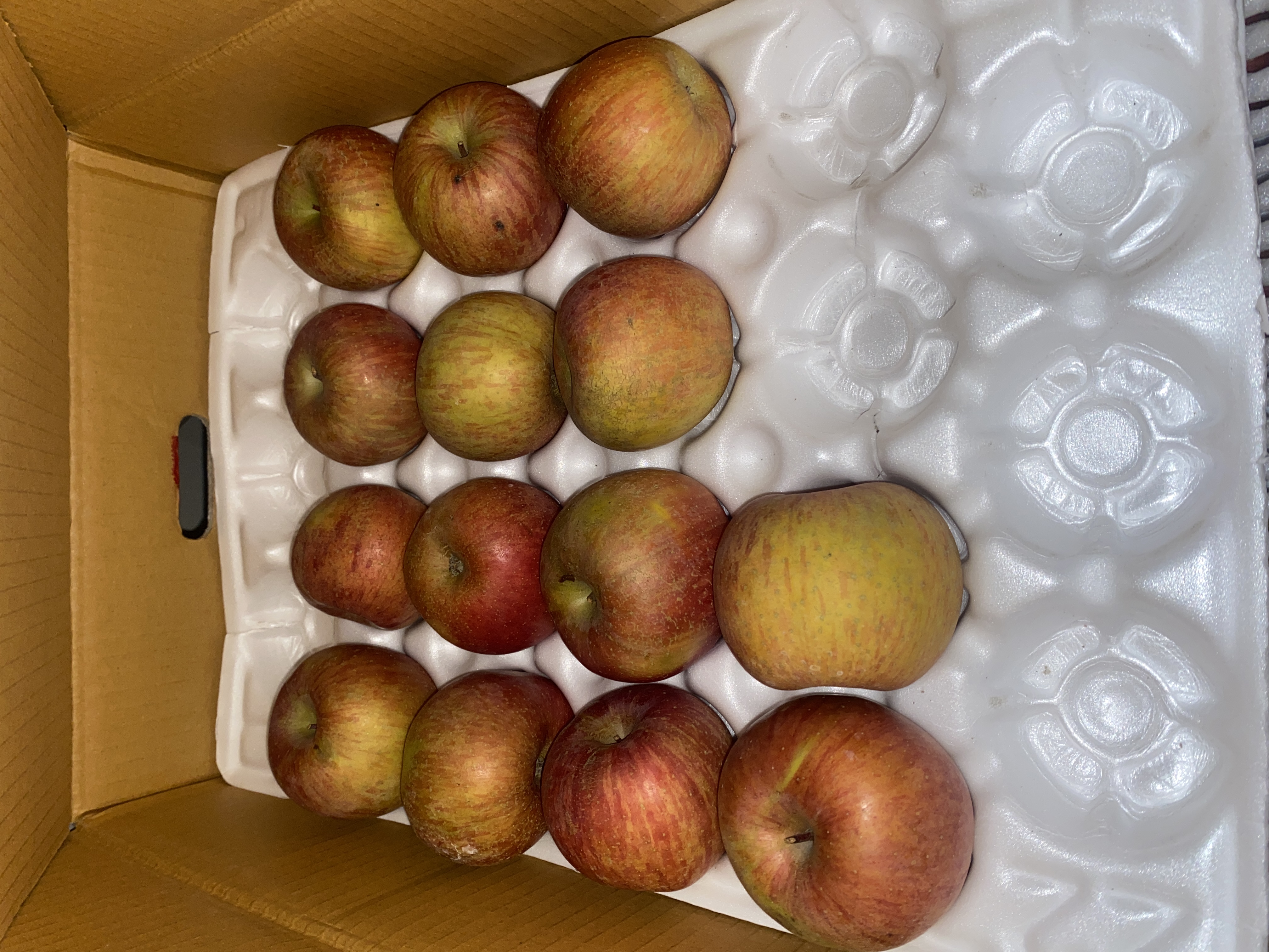 포토 후기 이미지