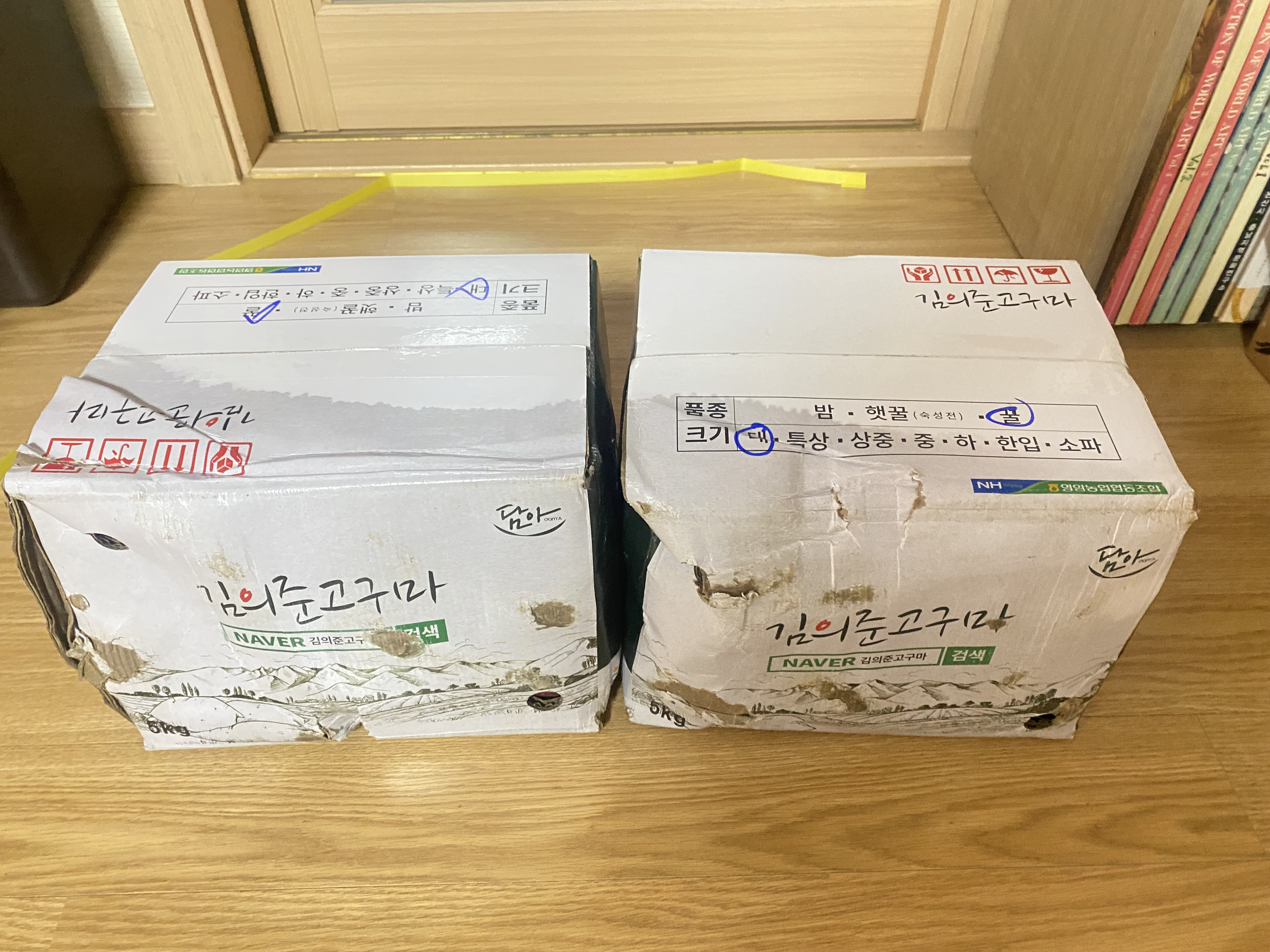 포토후기 이미지