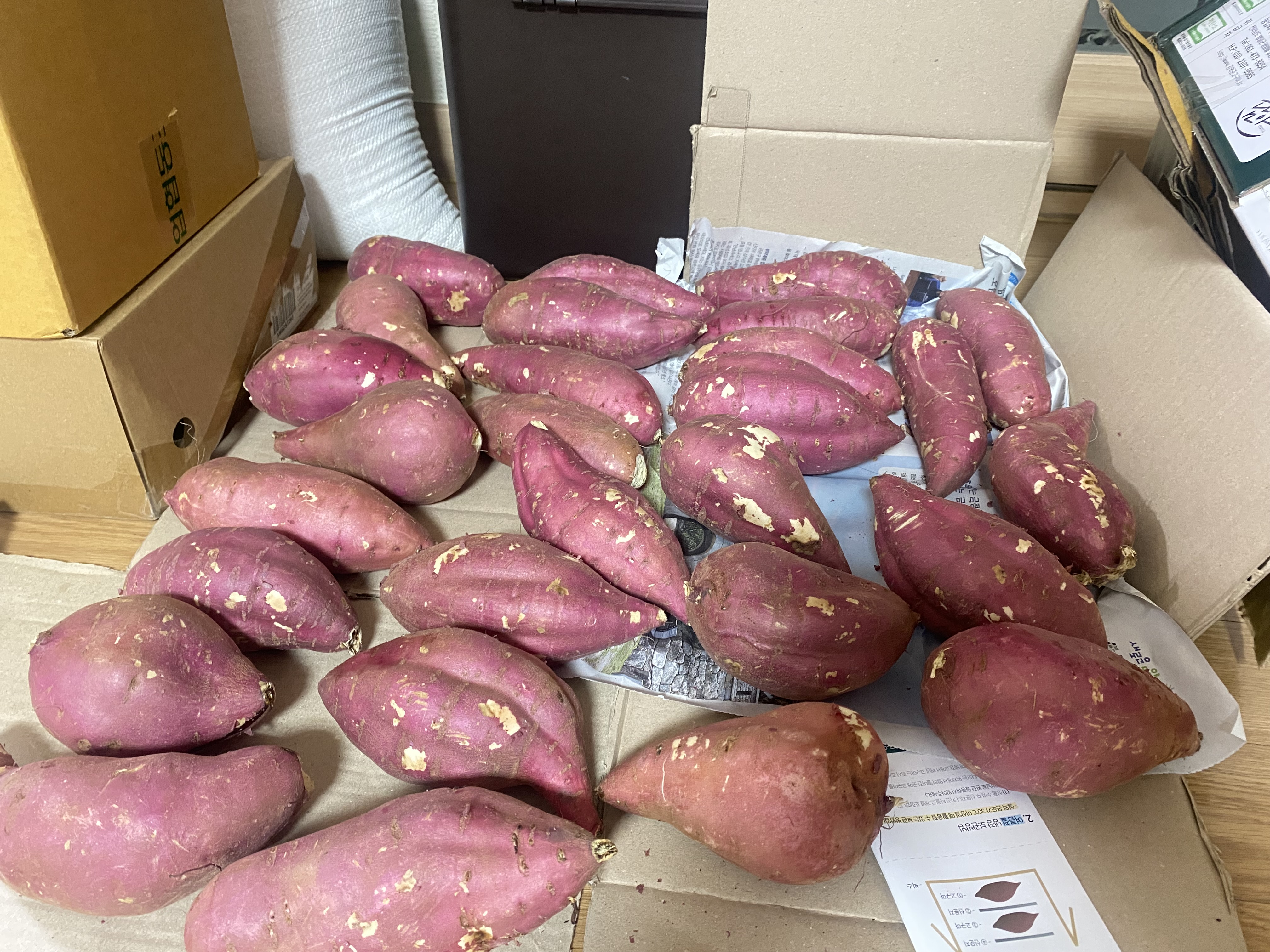 포토후기 이미지