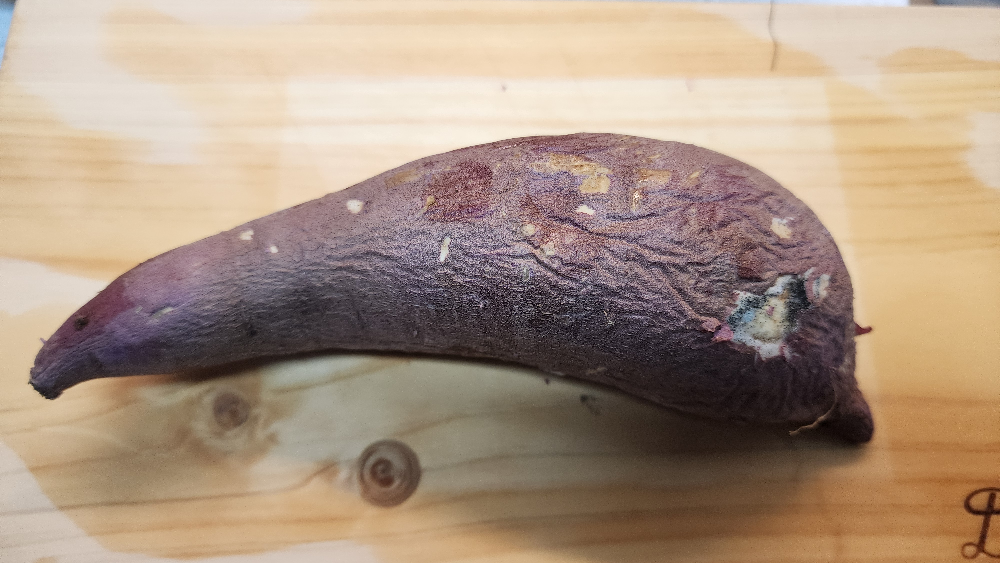 포토후기 이미지