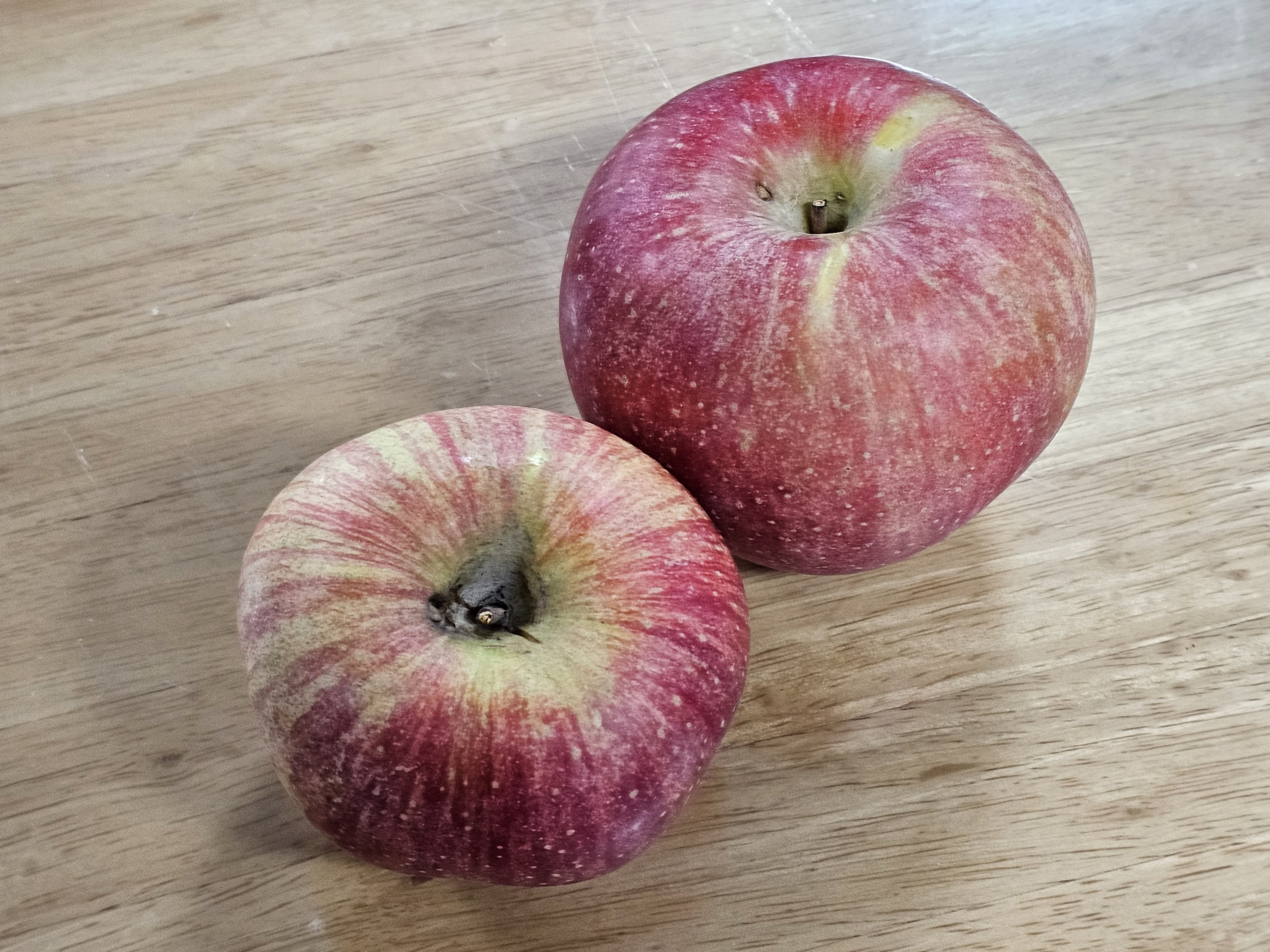 포토후기 이미지