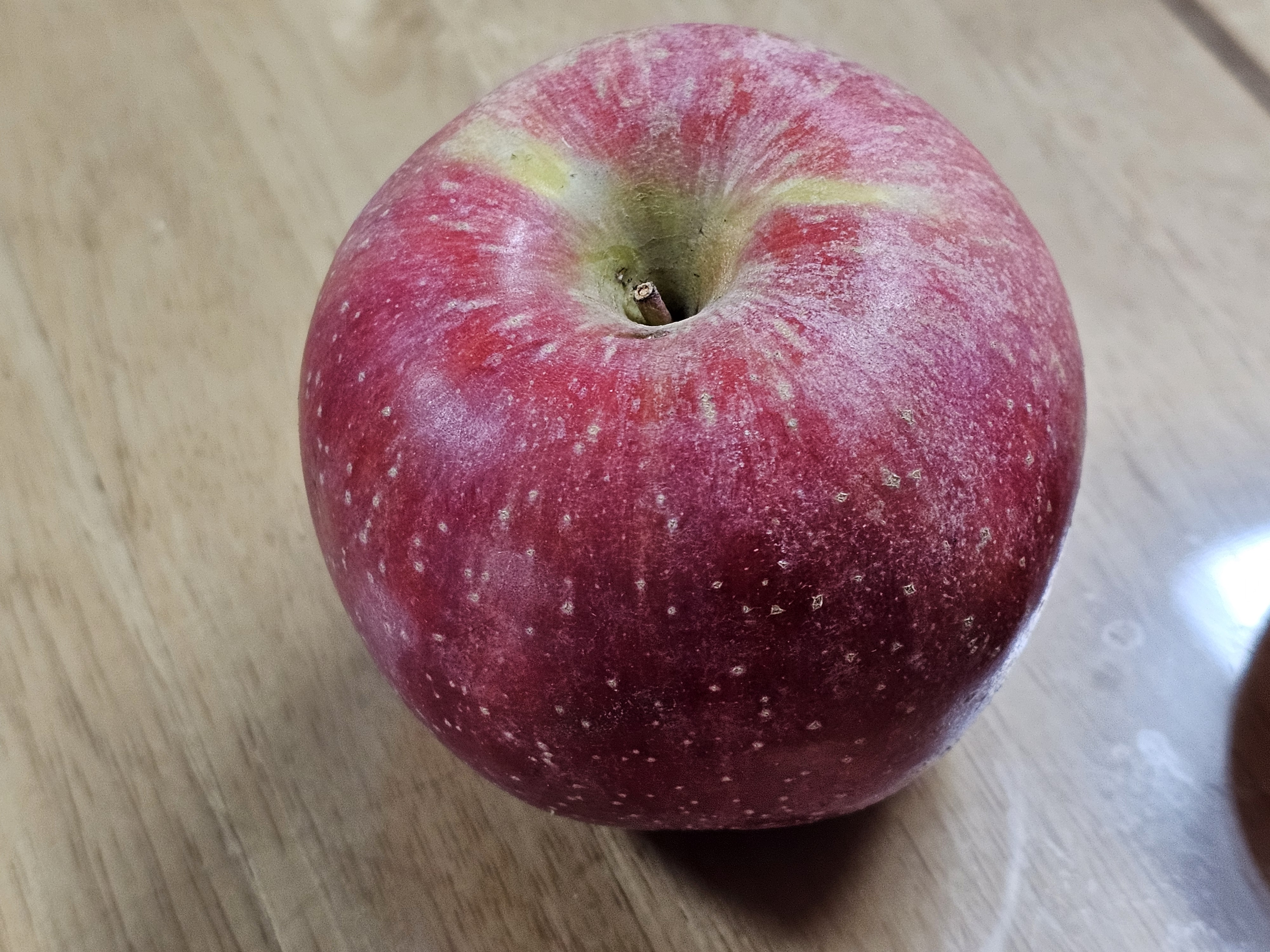 포토후기 이미지