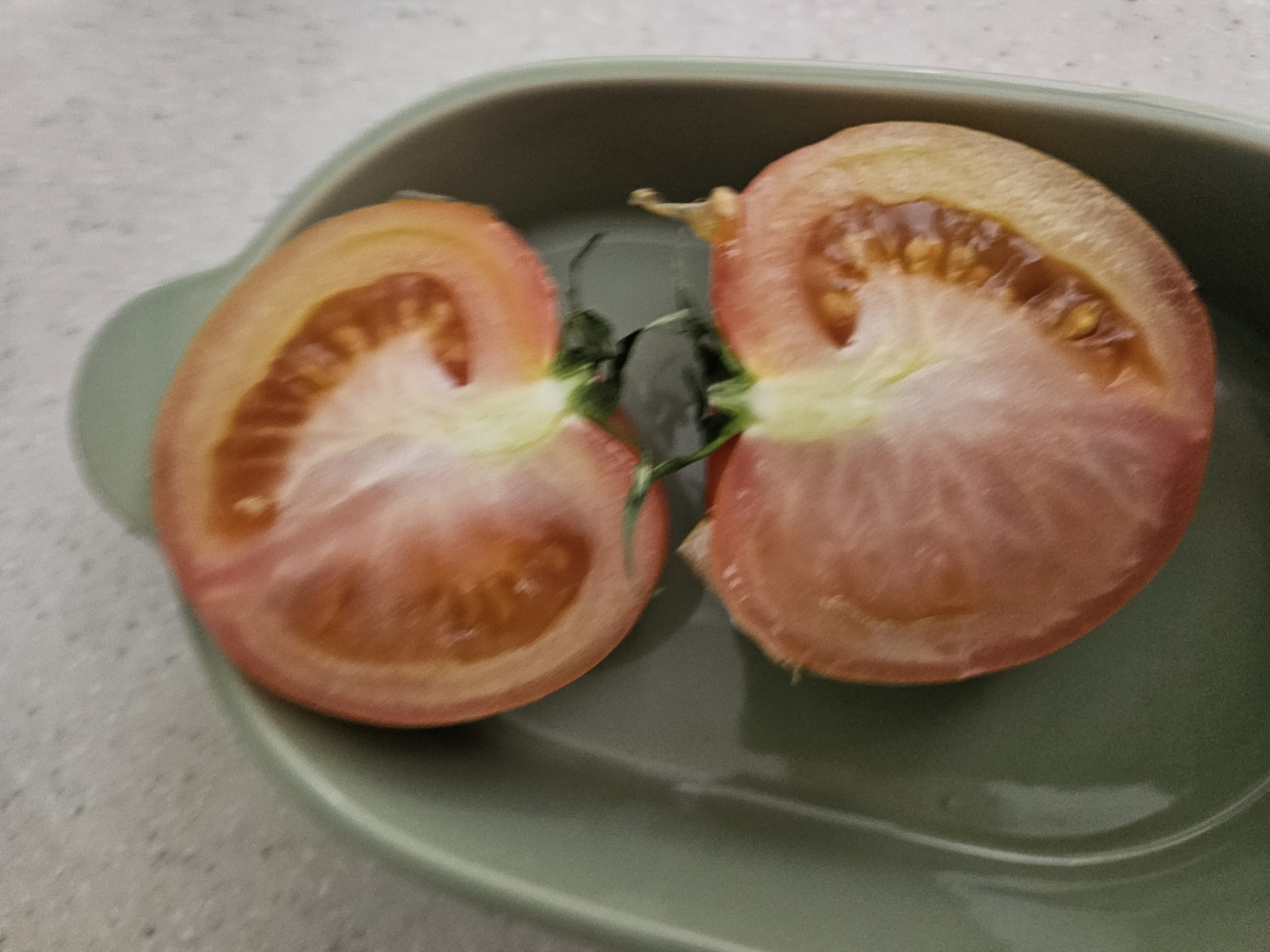 포토 후기 이미지