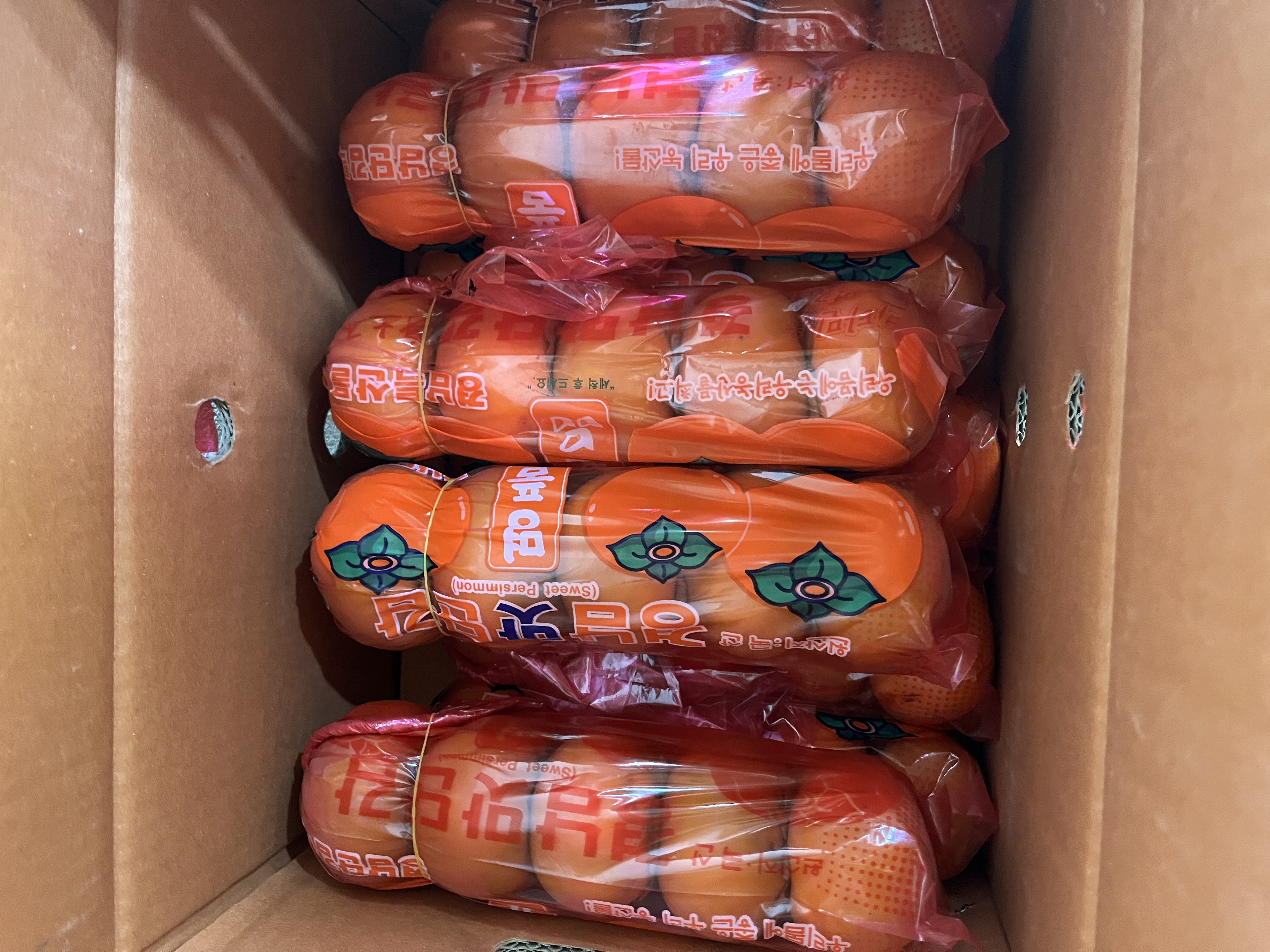 포토 후기 이미지