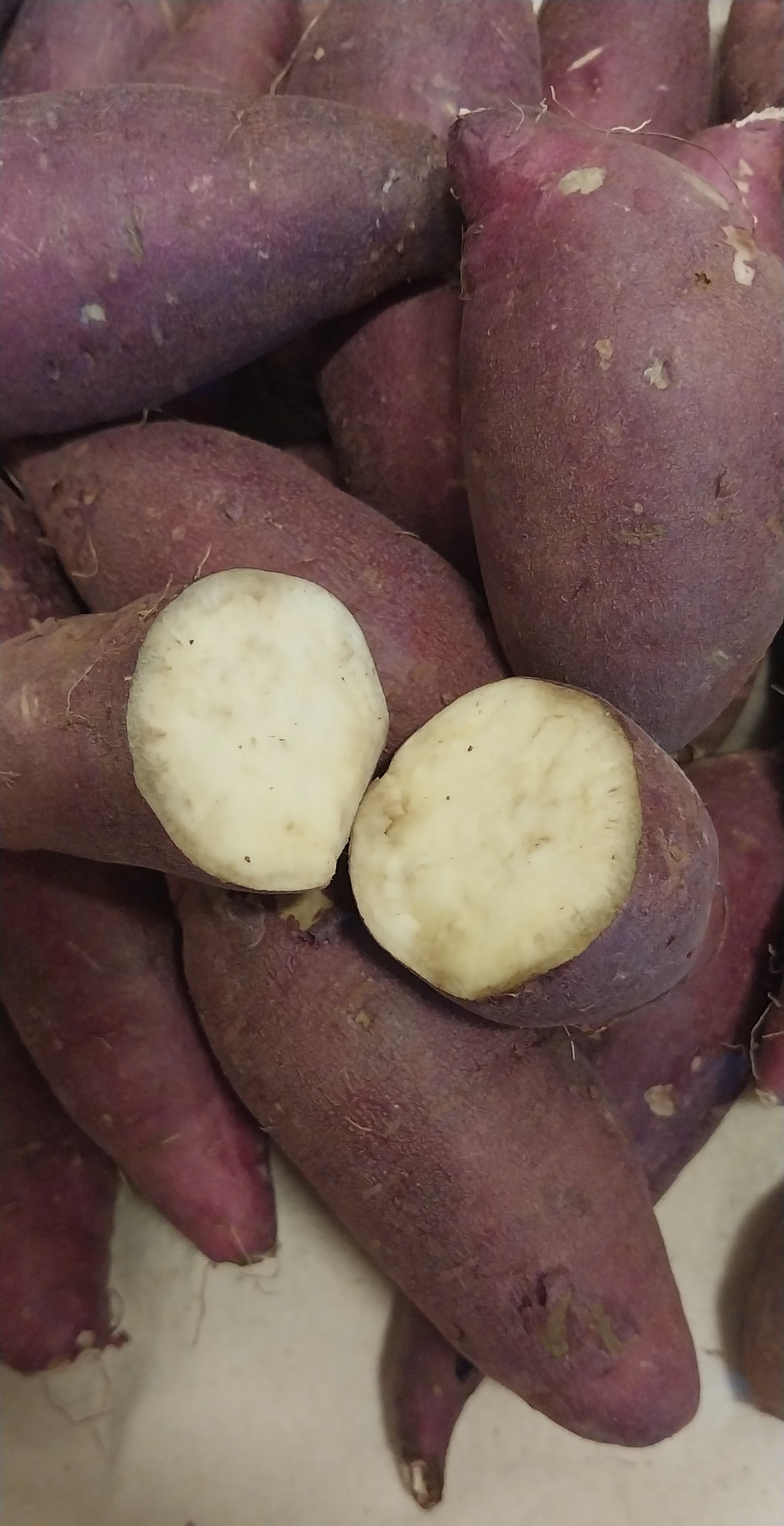 포토후기 이미지