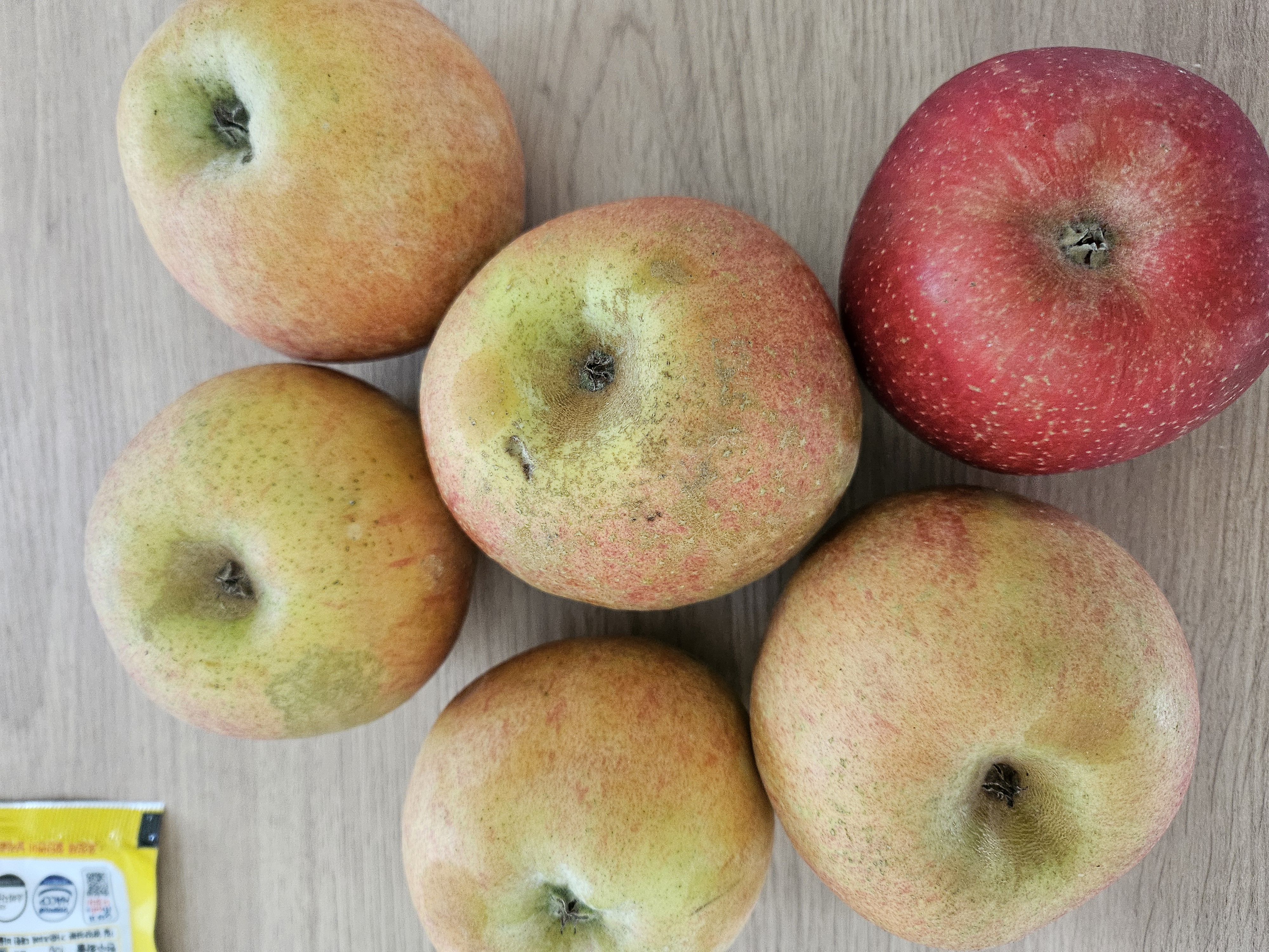 포토 후기 이미지