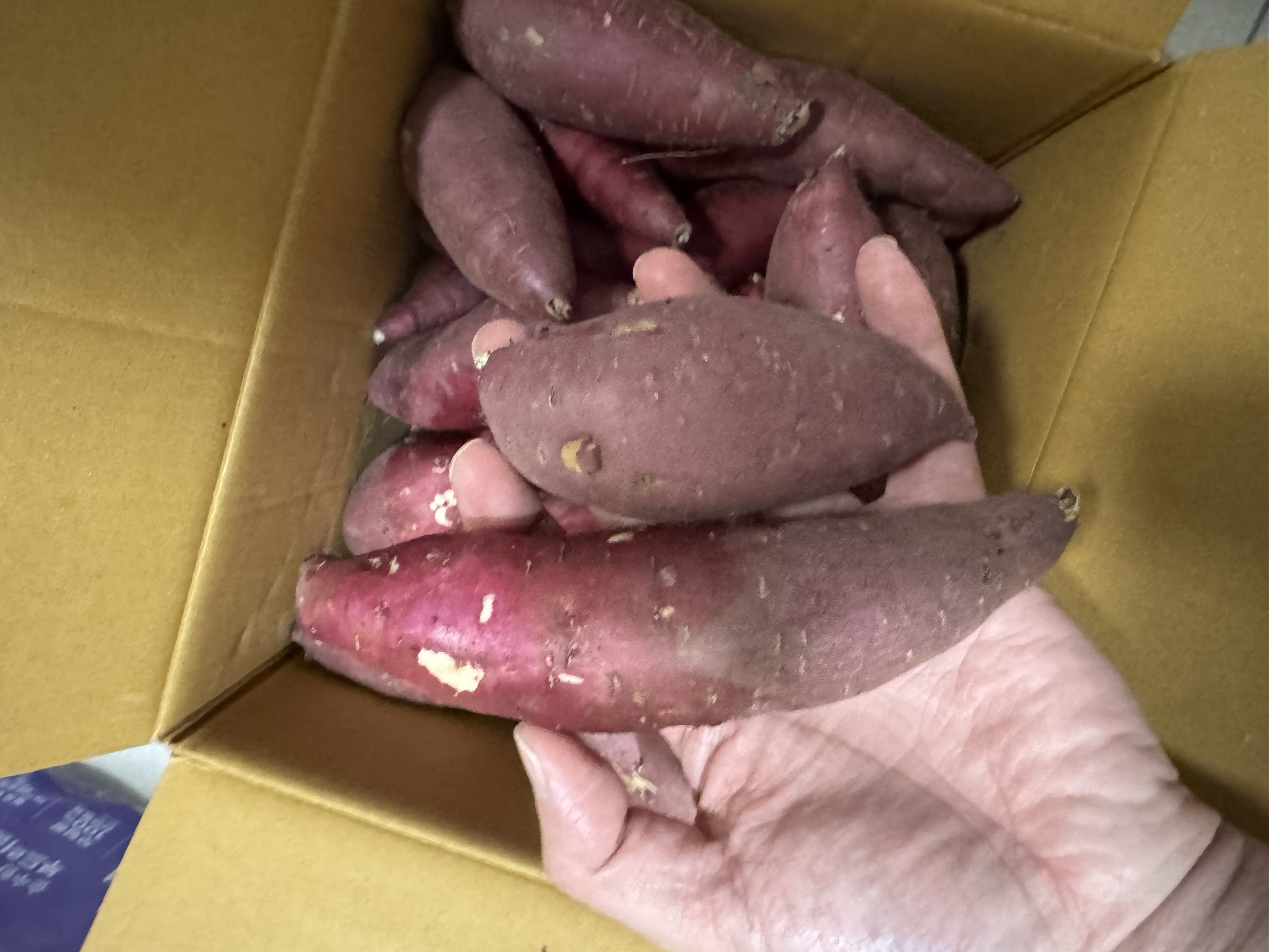 포토후기 이미지