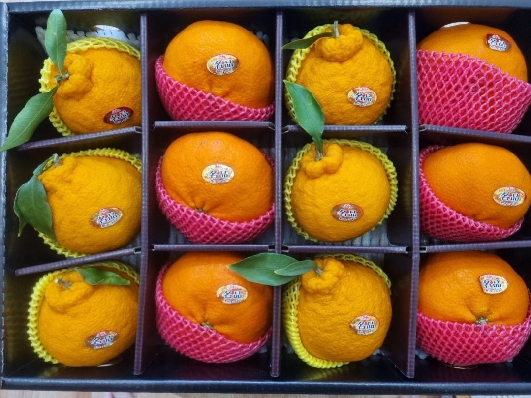 포토 후기 이미지