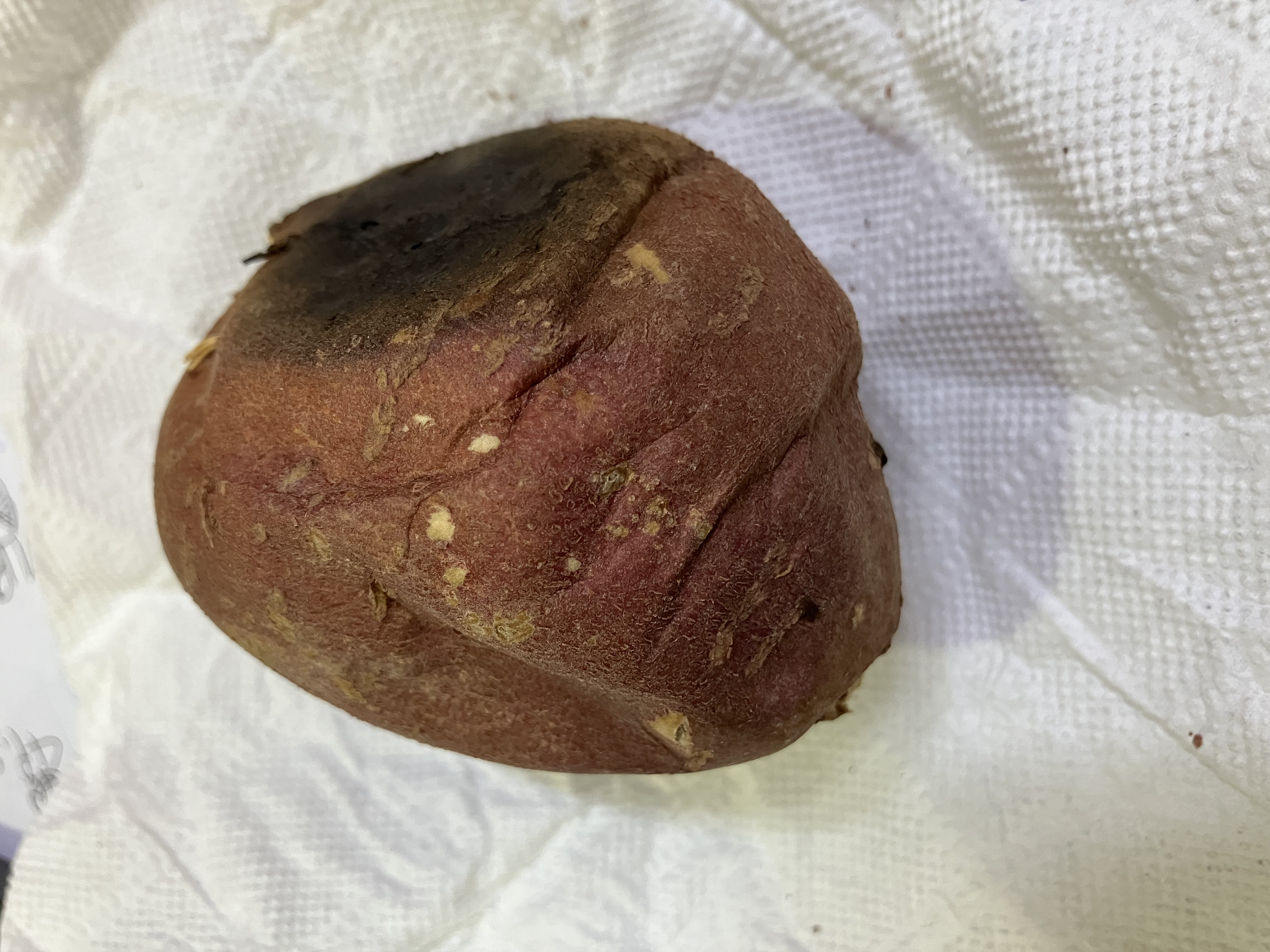 포토 후기 이미지