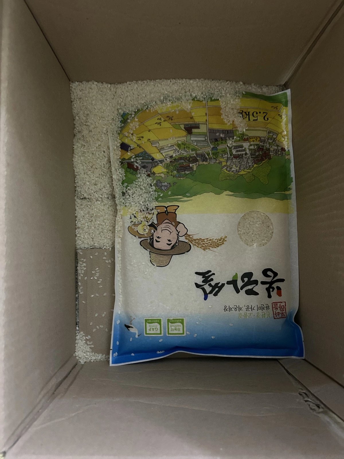 포토후기 이미지