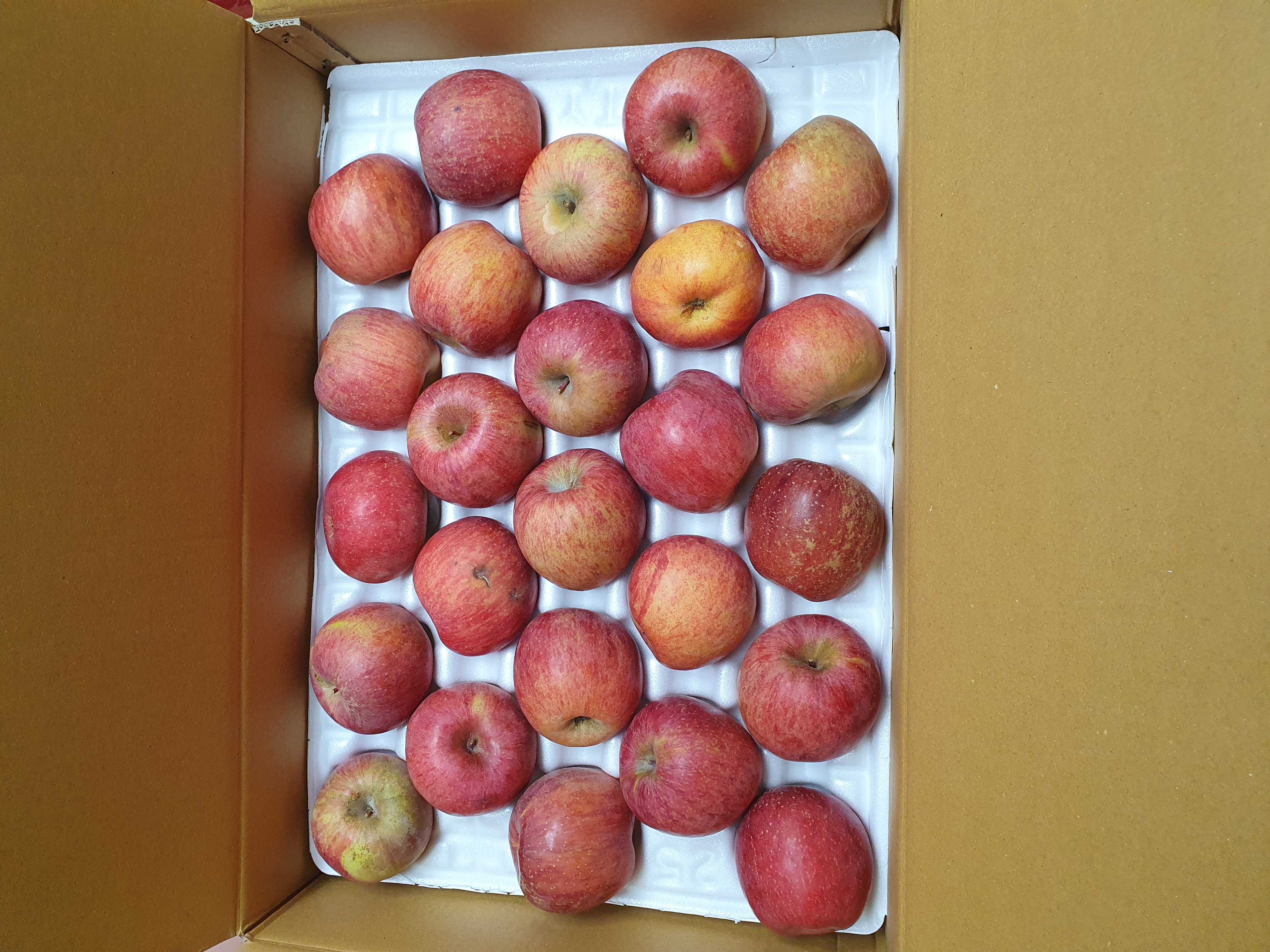 포토 후기 이미지