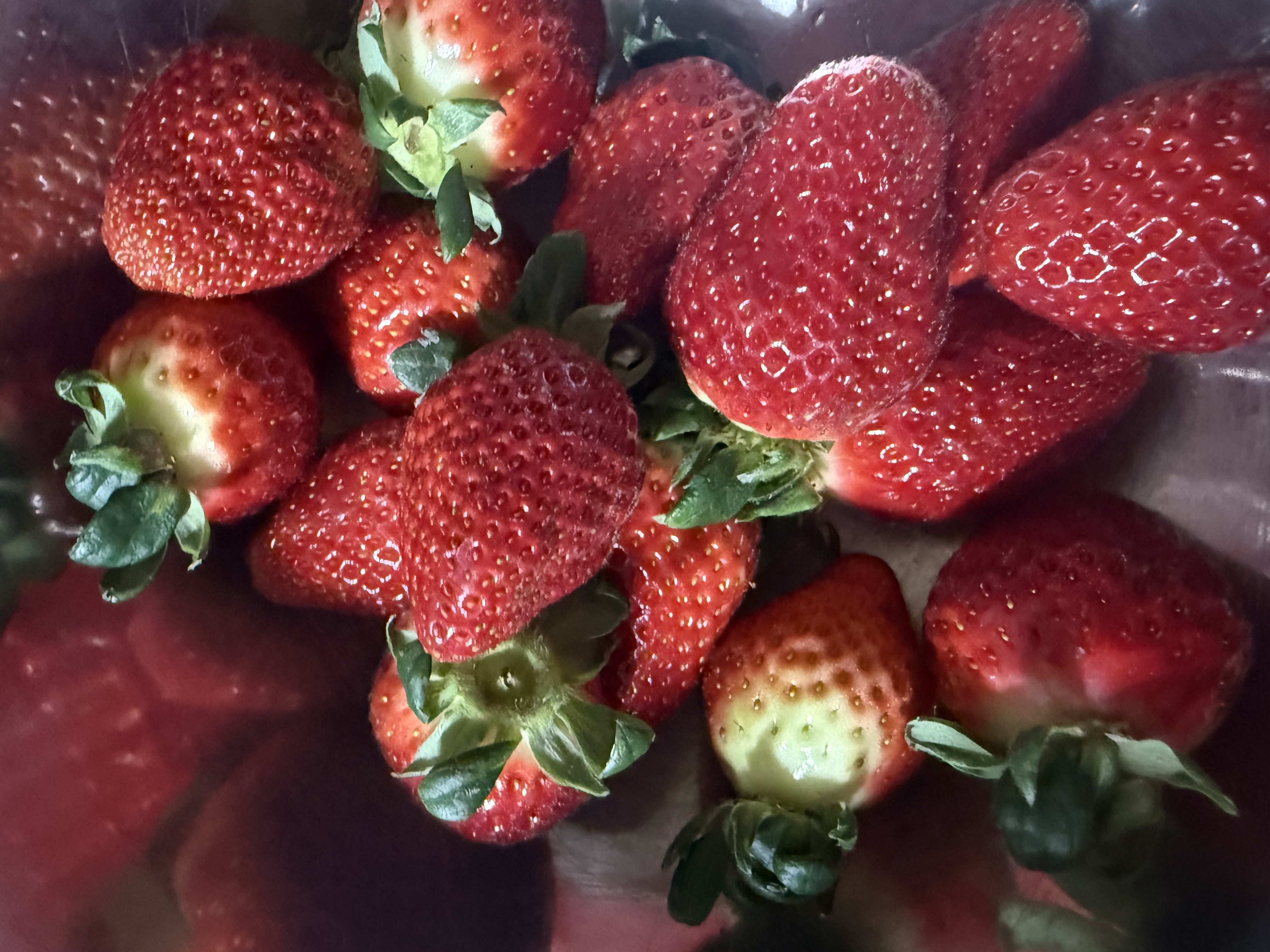 포토 후기 이미지