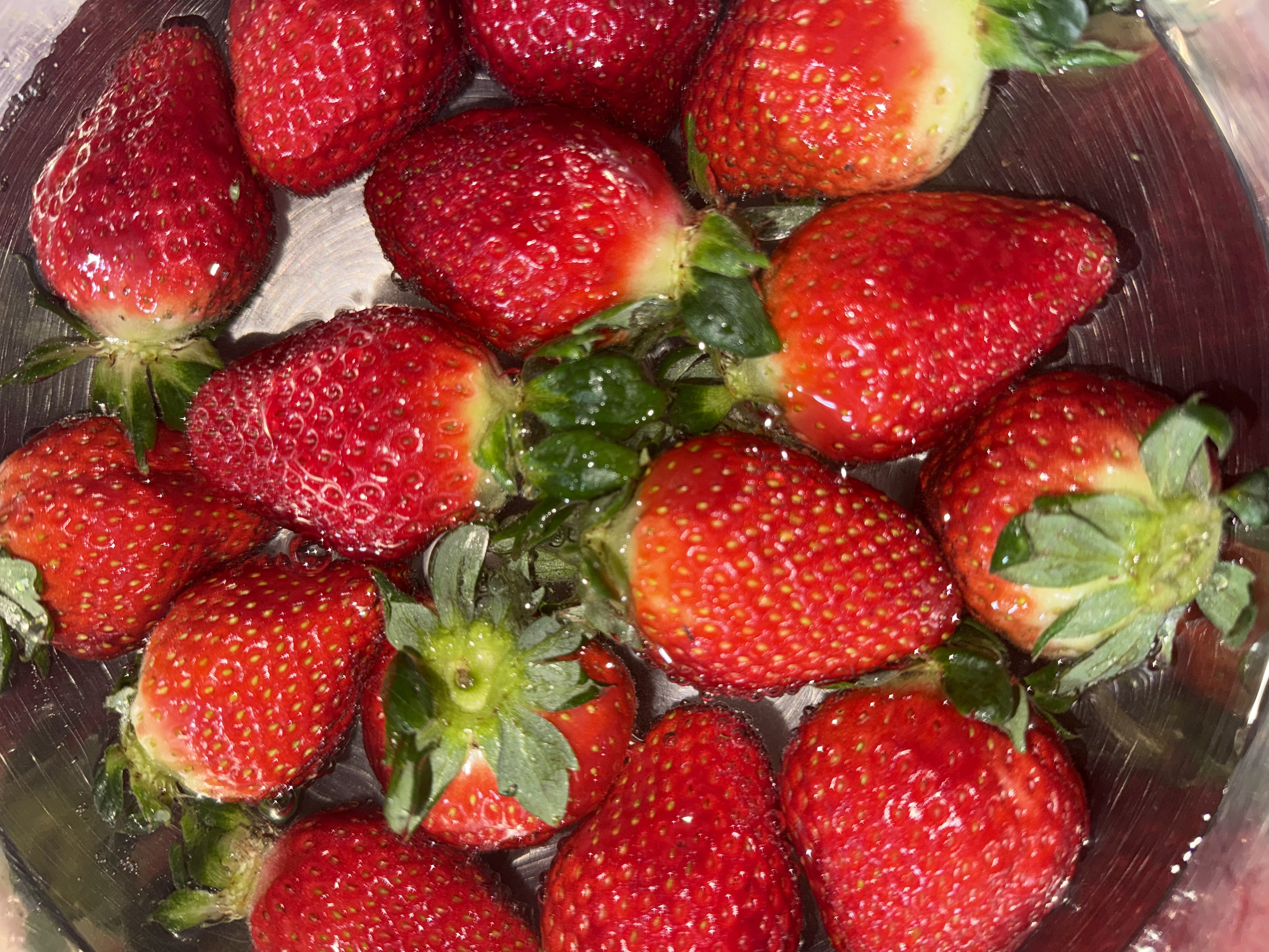 포토 후기 이미지